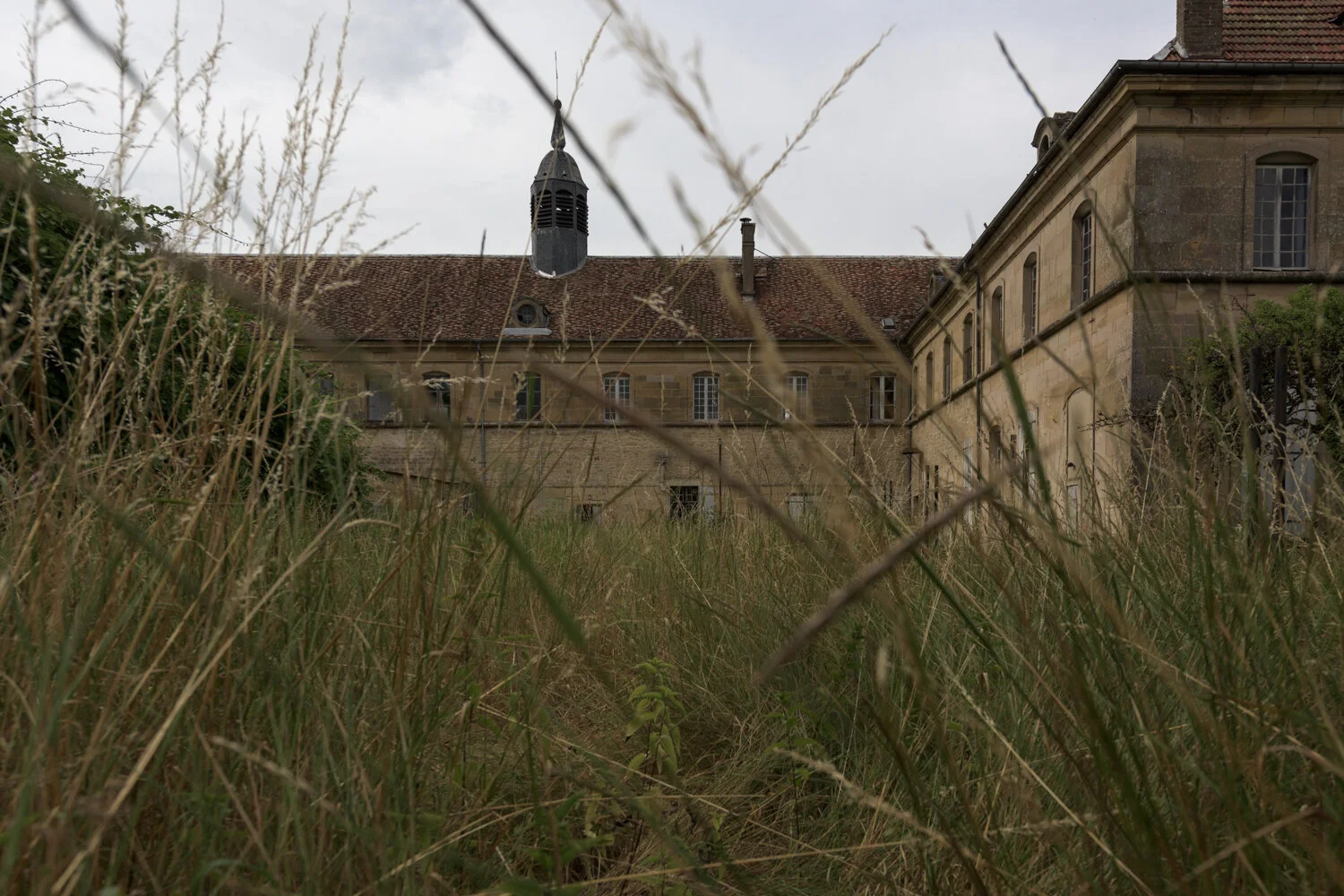 small_DSC9746.JPG