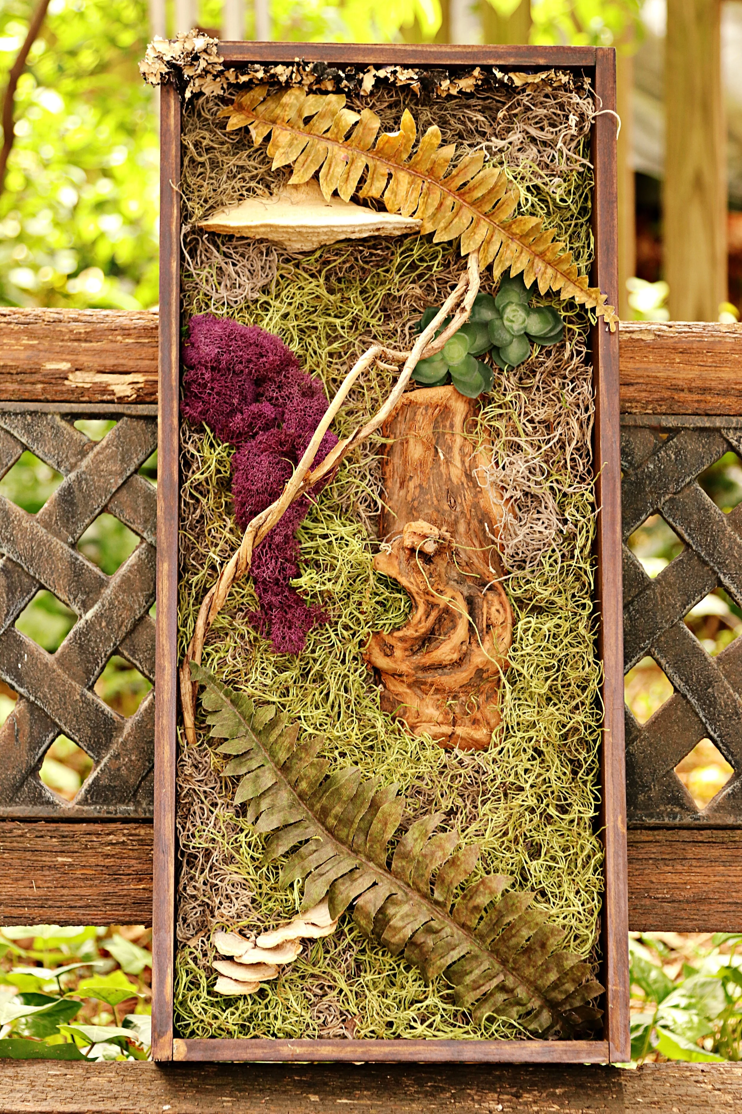 Two Ferns