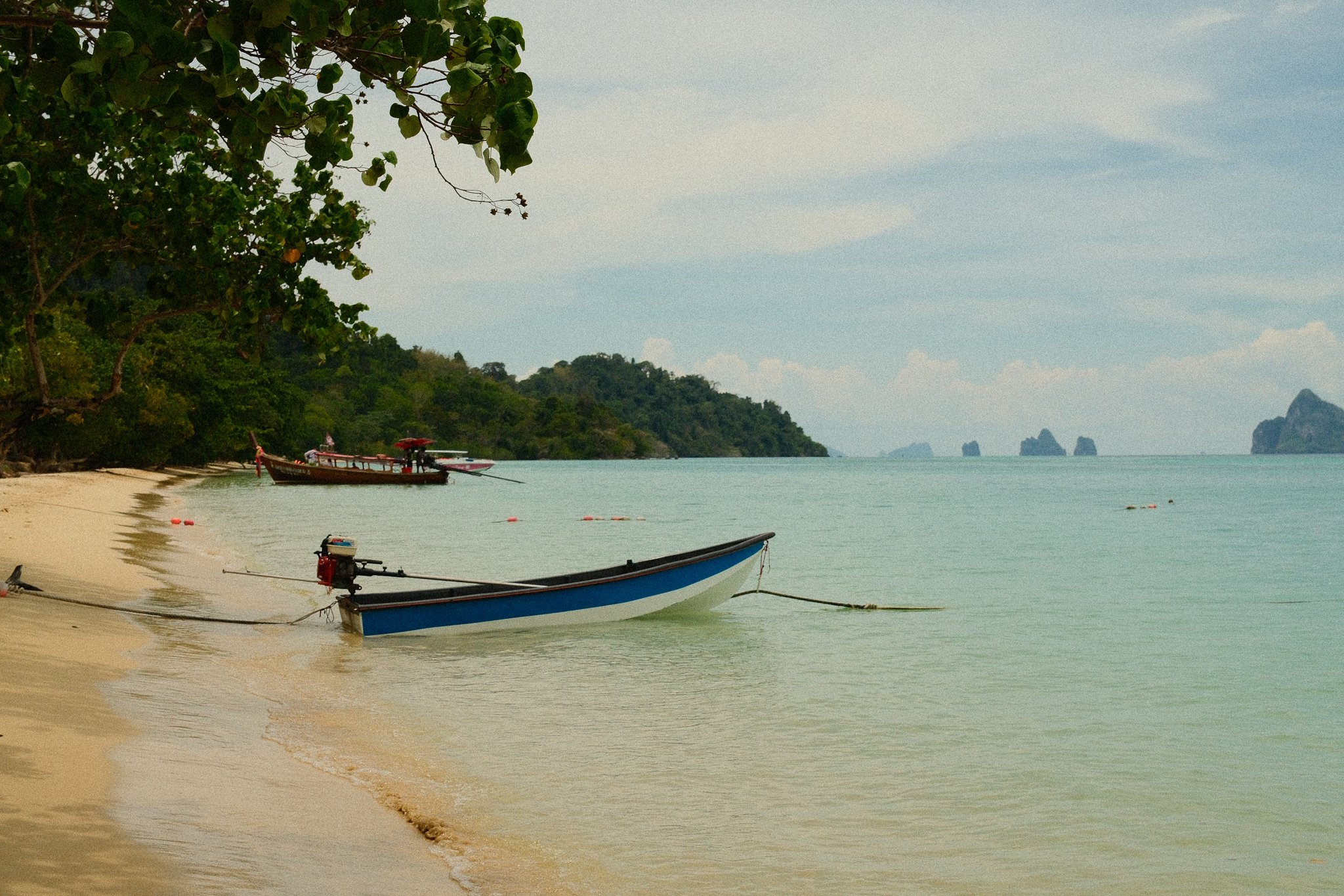 DSCF0624.jpg
