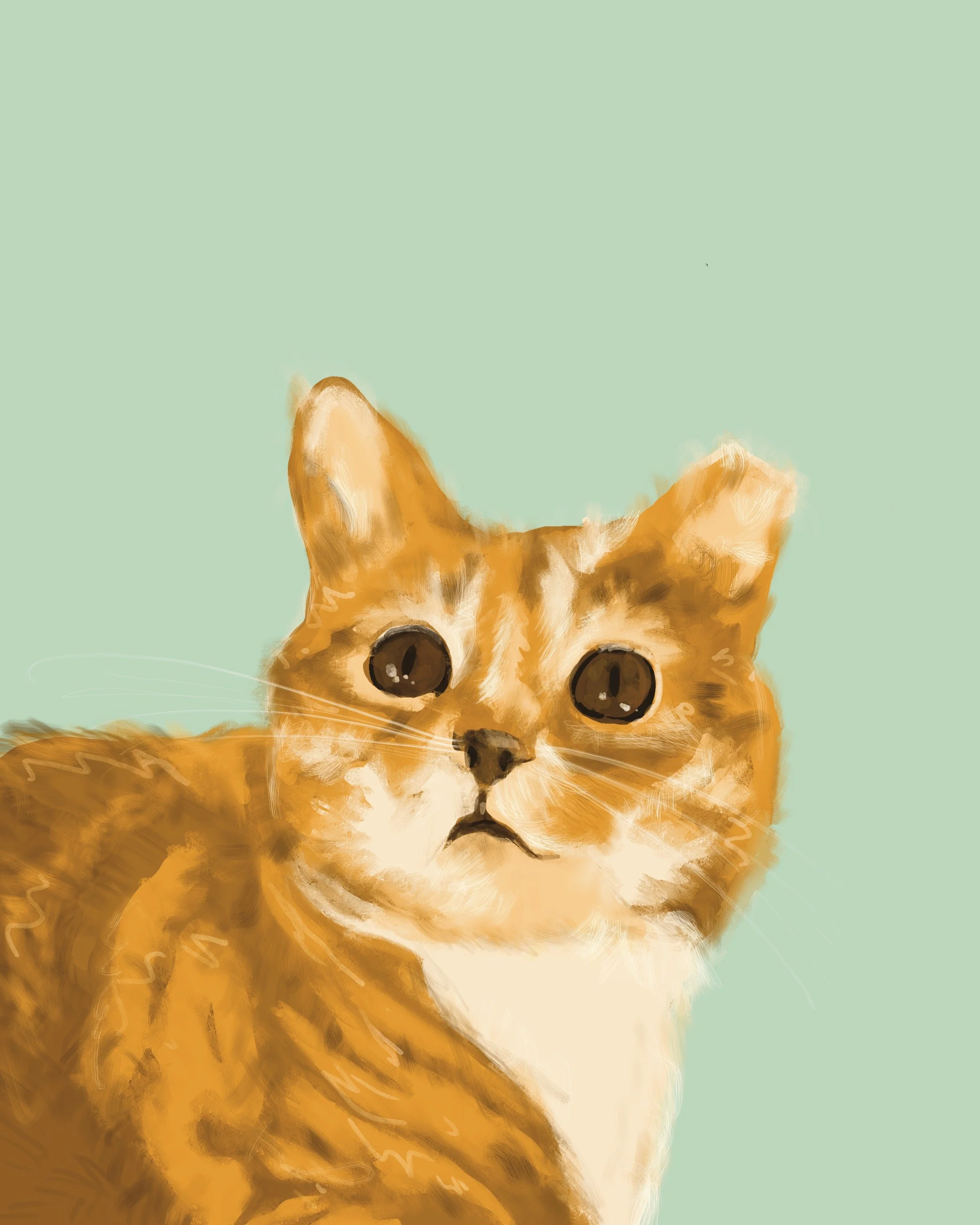 Graphic Art - Cat - Not for Sale