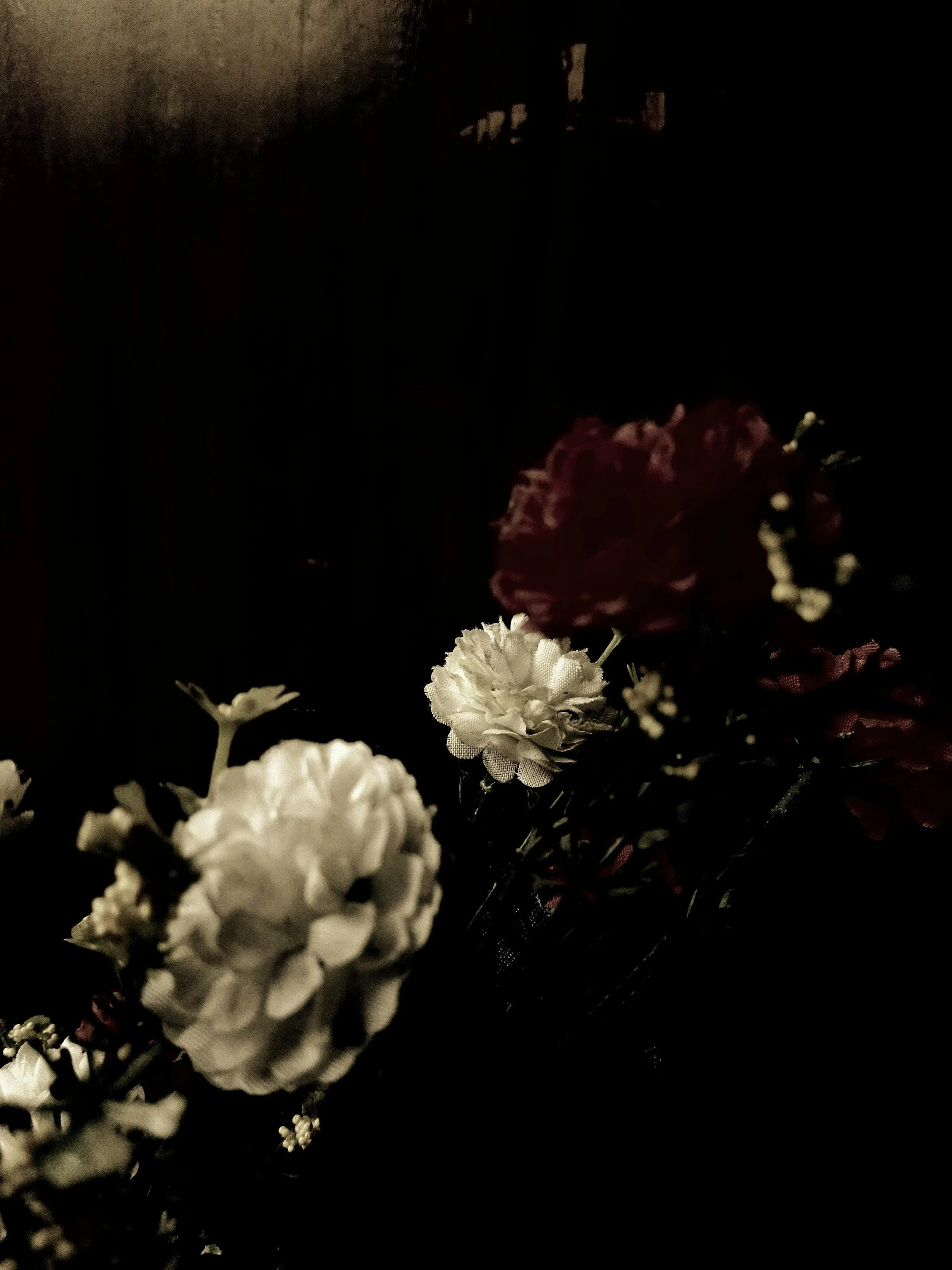 Botanical Silence-Maruf-Oviul-3.jpg