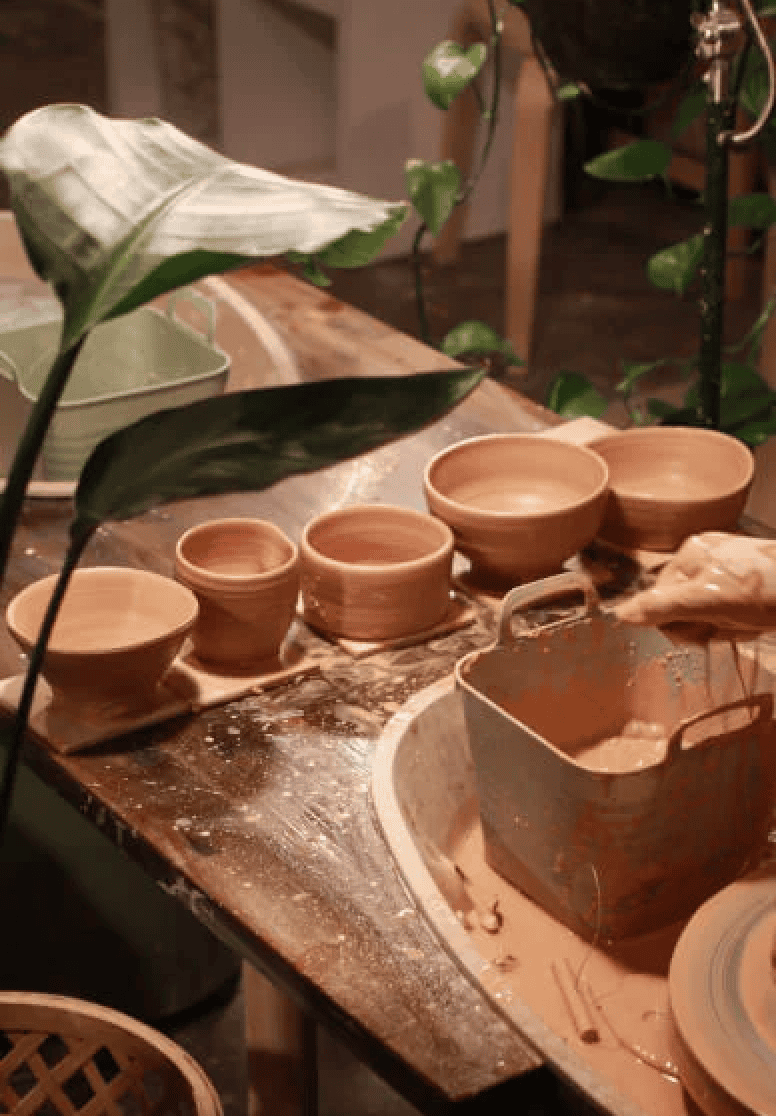 Clay bowls and pottery wheel on a table with plant leaves nearby.