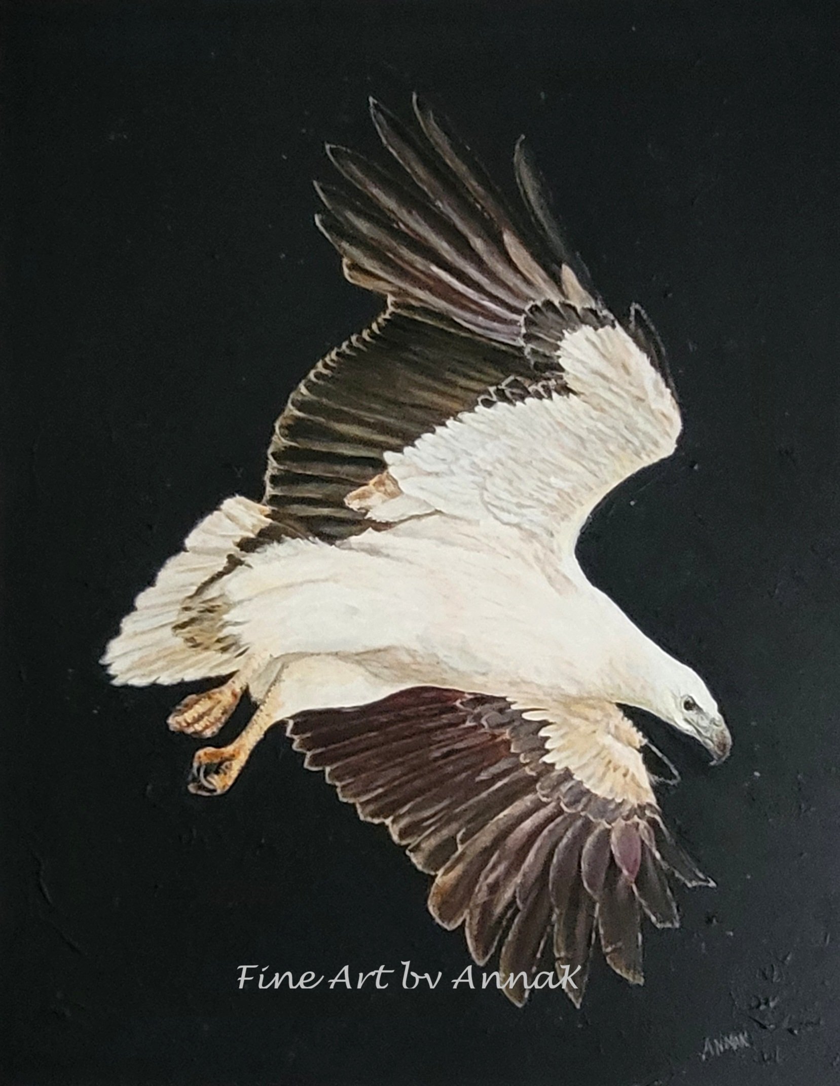 A Higher Perspective
Acrylic on Canvas 28" x 22"