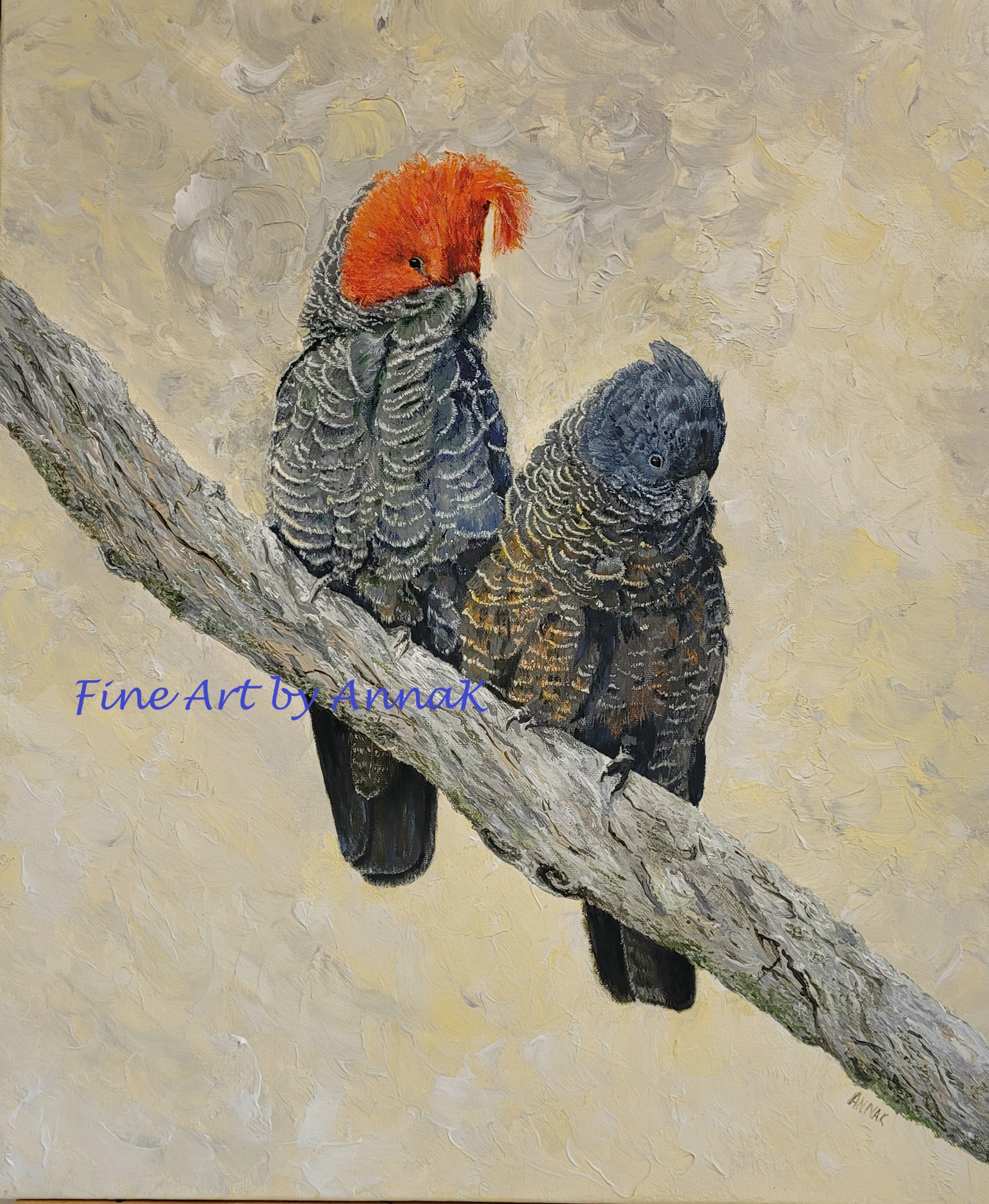The Sweetest Things - Gang-gang Cockatoos
Acrylic on Canvas
20" x 24"