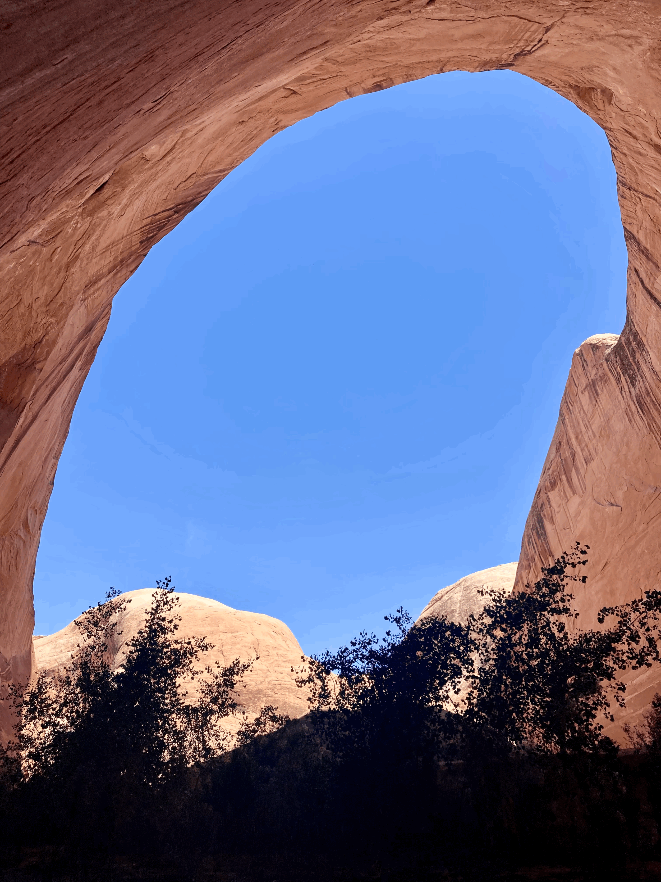 tempImageL3zEDH.gif