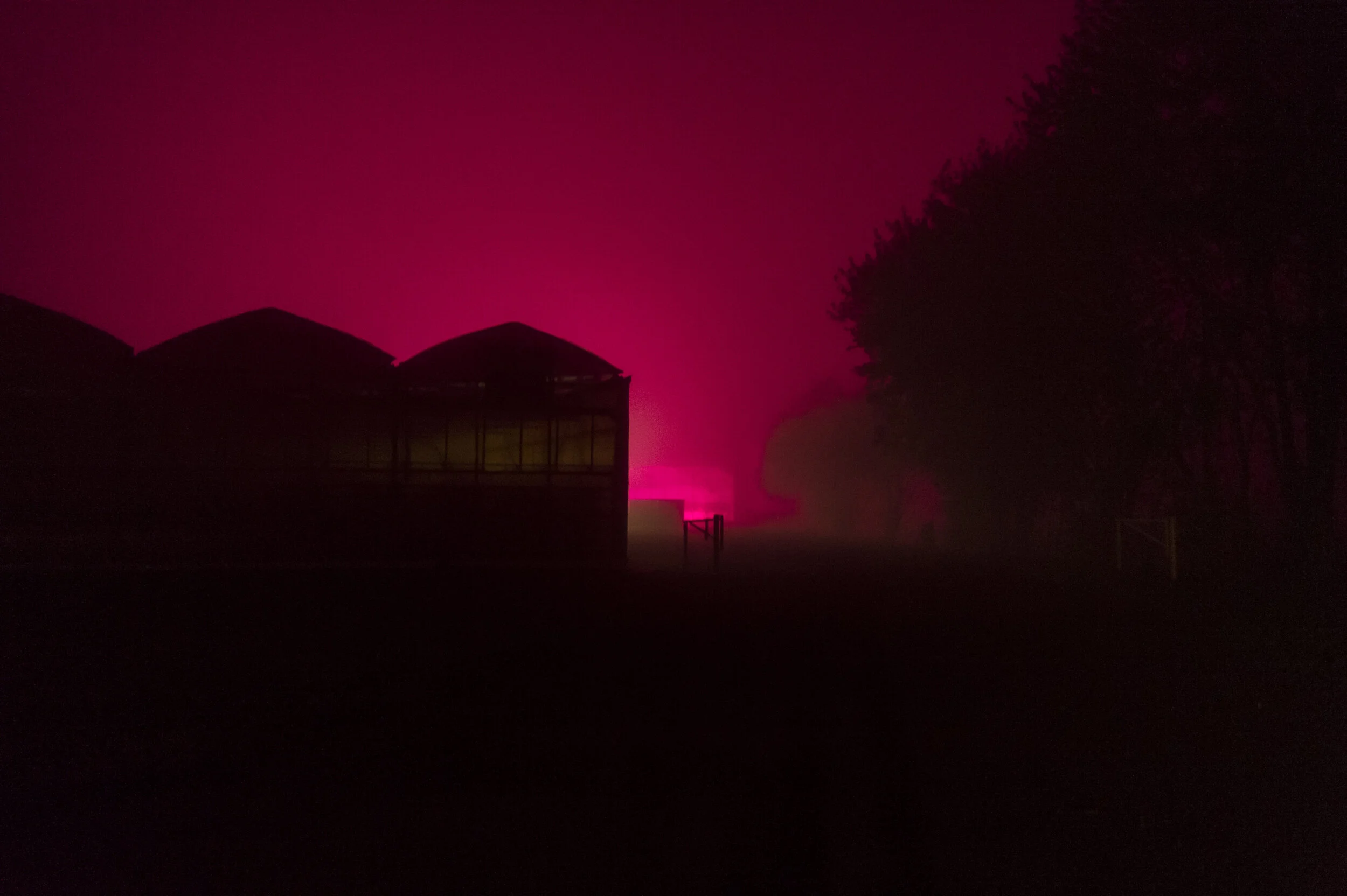  Heating lights cast an eerie glow on a greenhouse in Leamington, Ontario, on May 17, 2015 