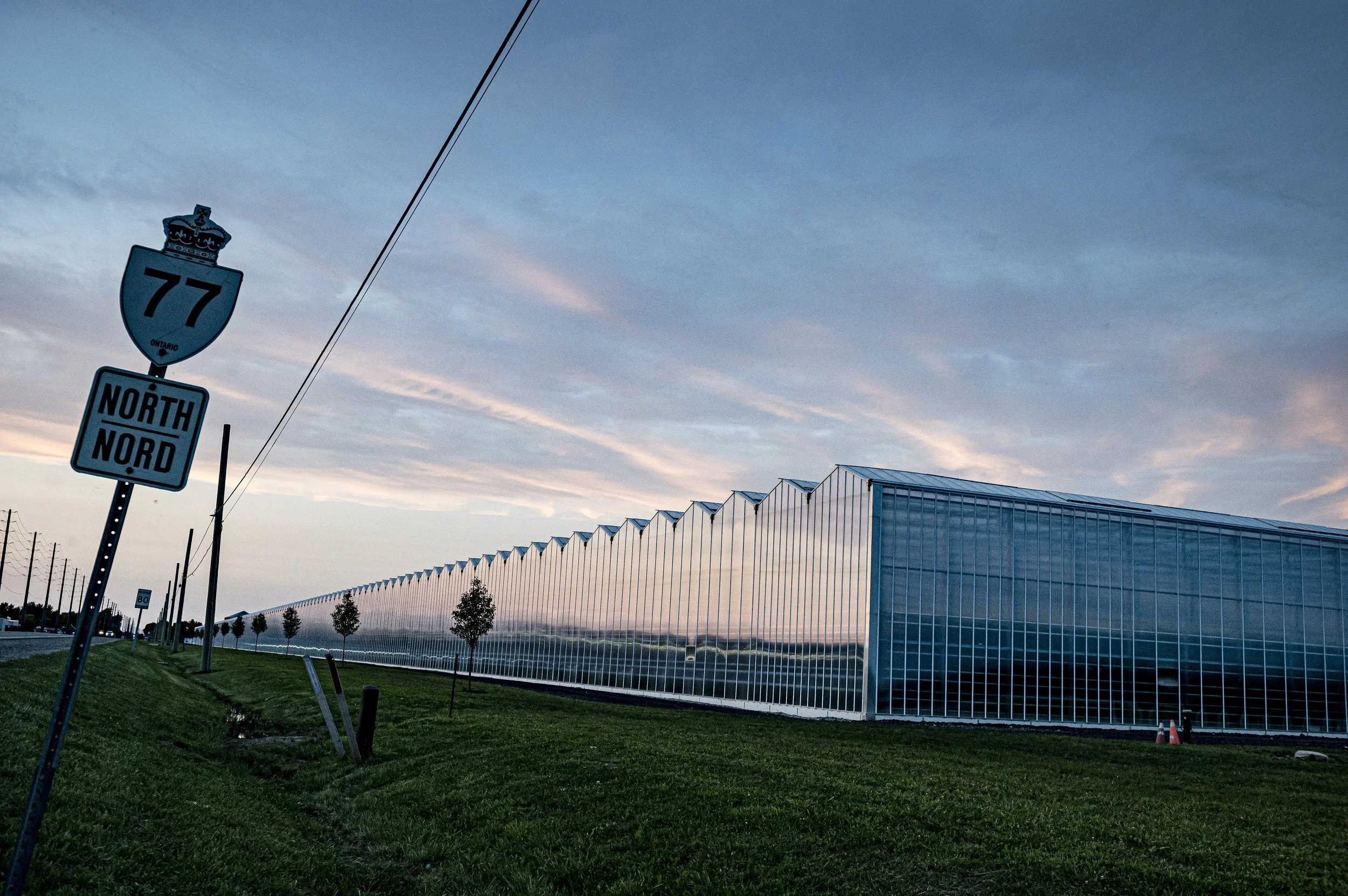 Greenhouses are photographed in Leamington,  Ont., on Friday, July 30, 2021.(Christopher Luna/ The Narwhal) 