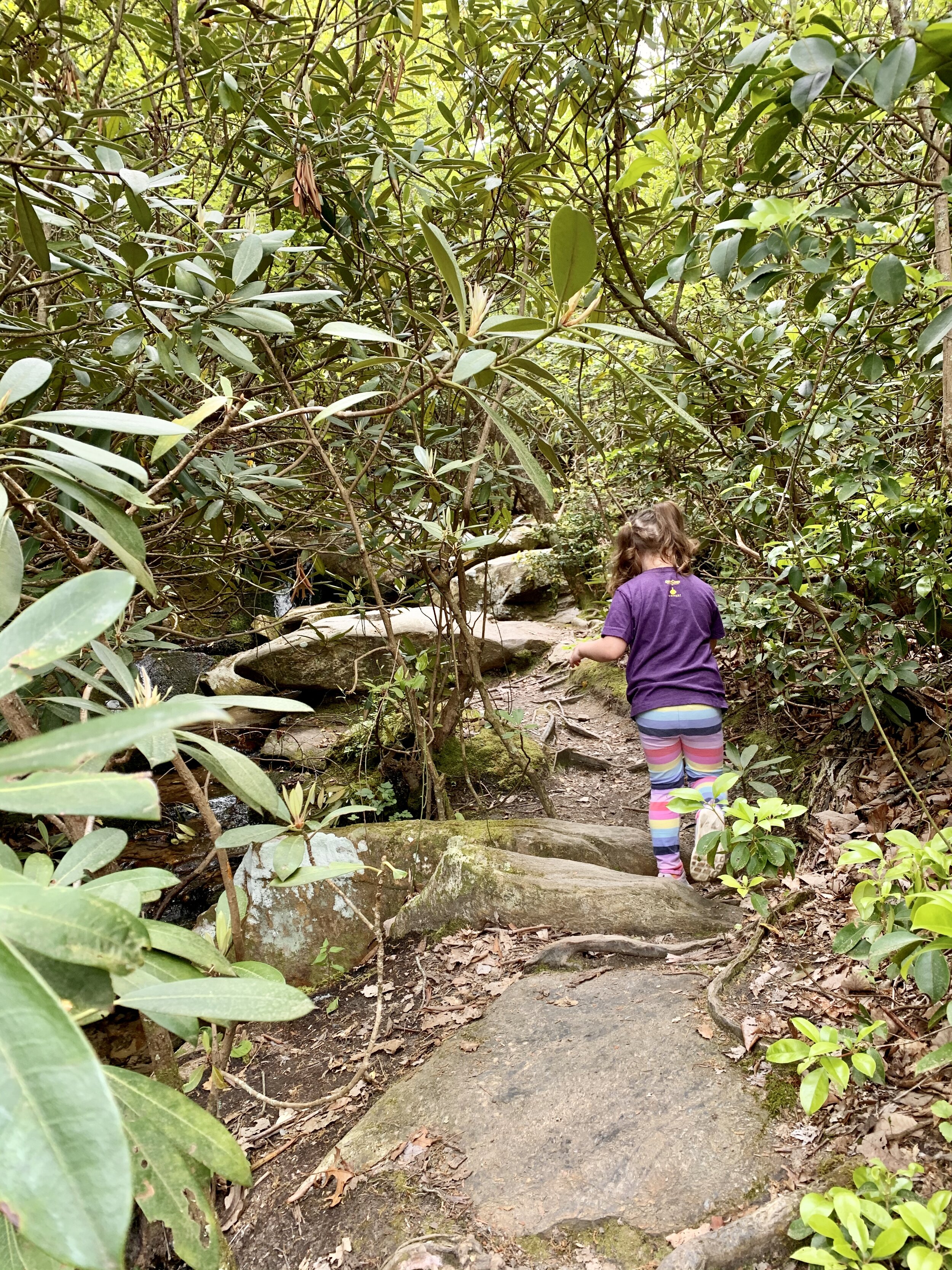 Quinn exploring off path around Hidden Falls
