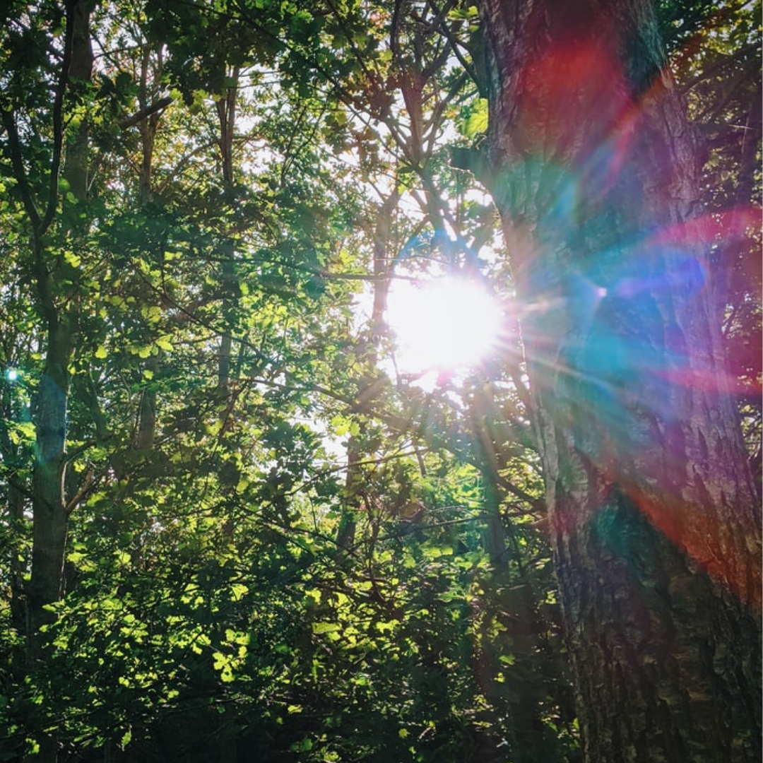 AKASHIC RECORD SOUL READING