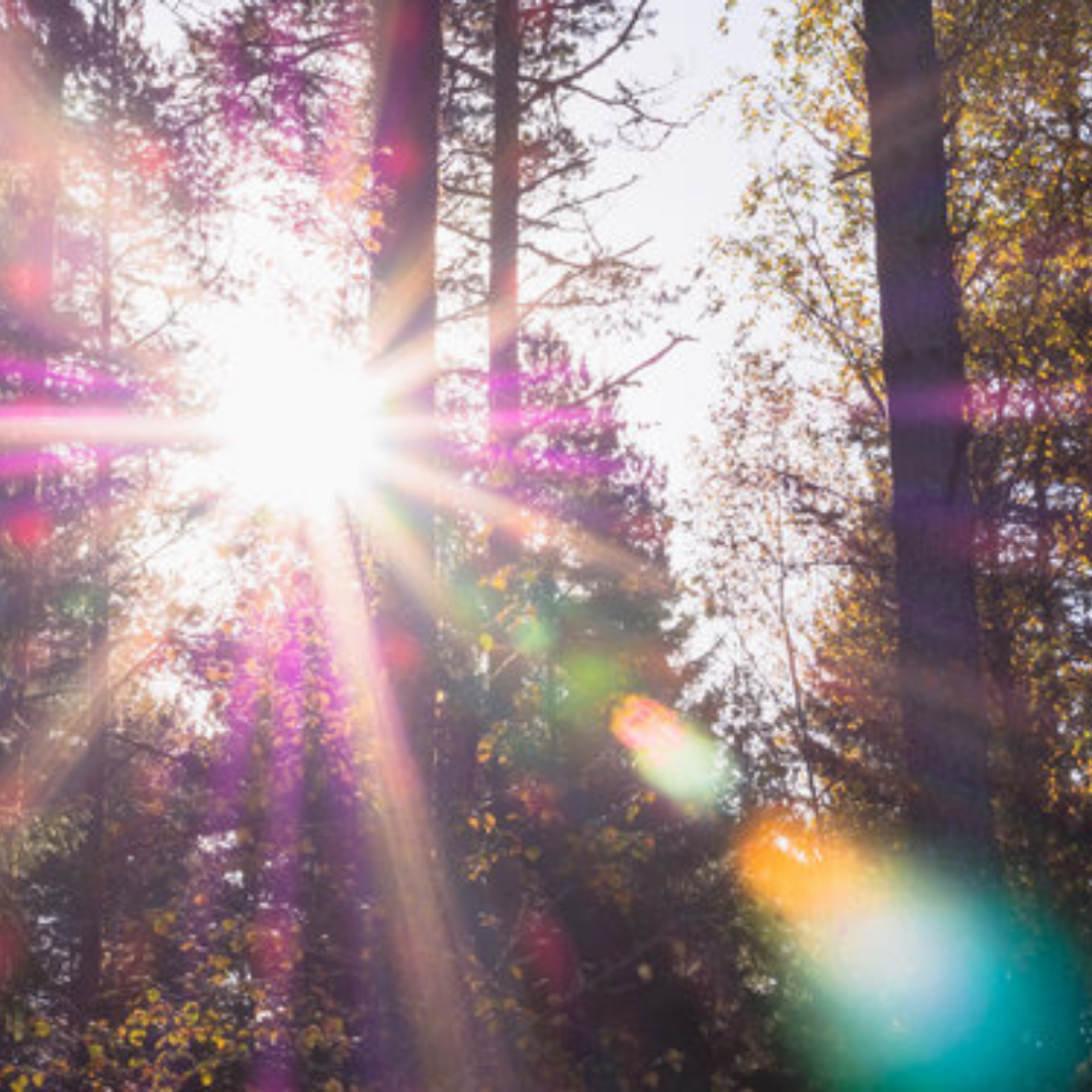 AKASHIC RECORD SOUL READING ~ PACKAGE OF 3 SESSIONS