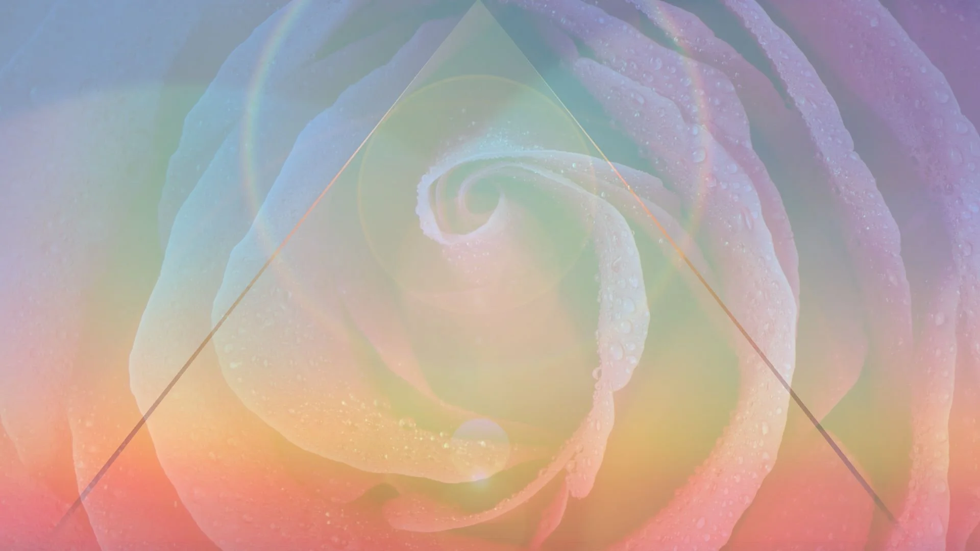 Divine Feminine rose.jpg