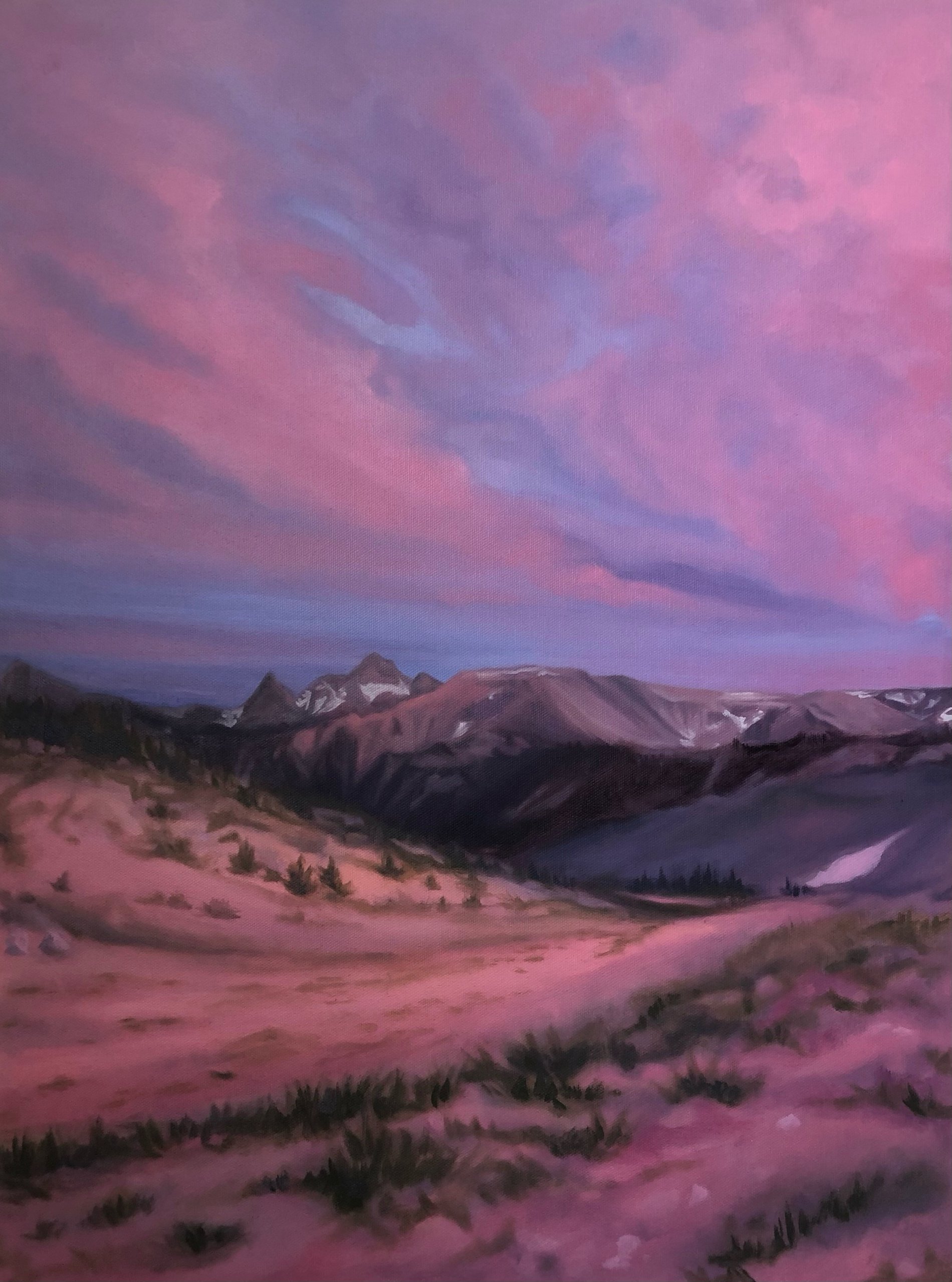 Rainier National Park (Big Pink)