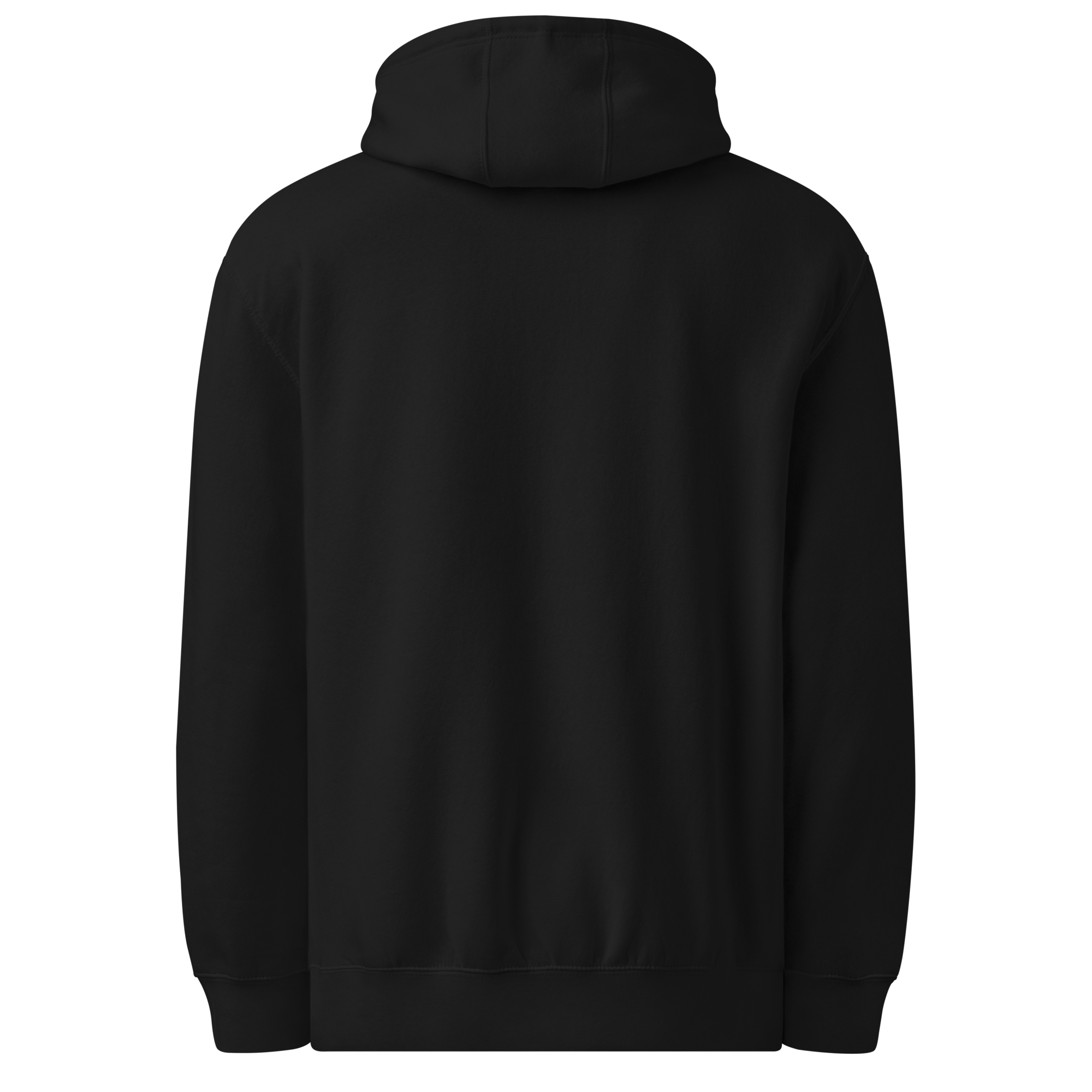 unisex-premium-mid-weight-hoodie-black-back-6879952b6862d.png