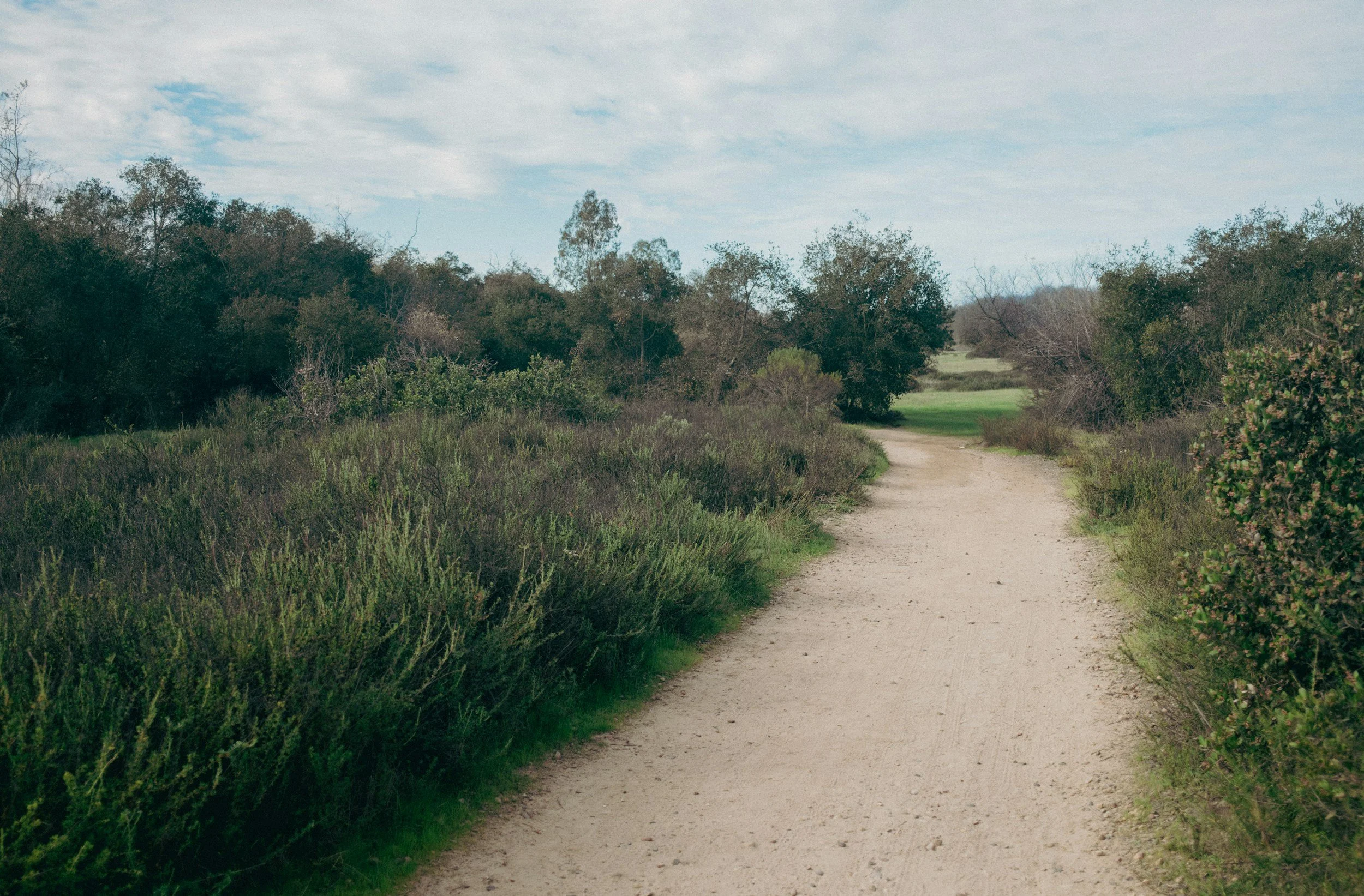 Los Penasquitos Canyon Preserve for flat running for beginners in San Diego