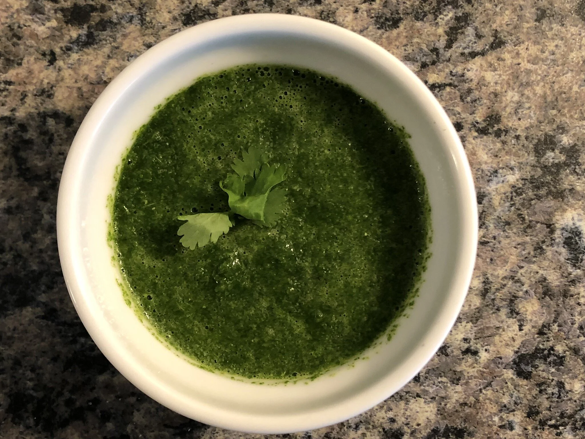 Cilantro Mint Chutney Mint Yogurt Chutney Recipe How to Make Mint Cilantro Chutney Step by