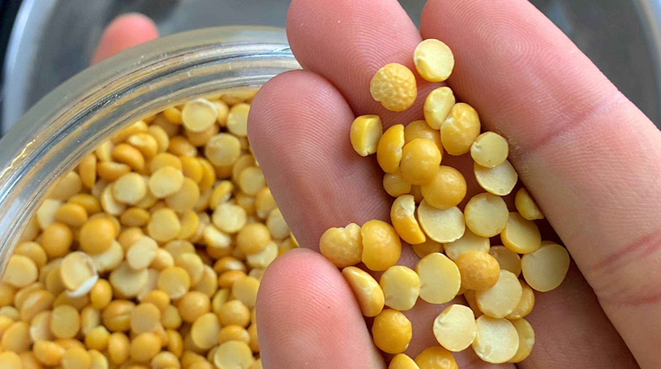 Screen Shot 2020-12-04 at 9.30.22 AM.png