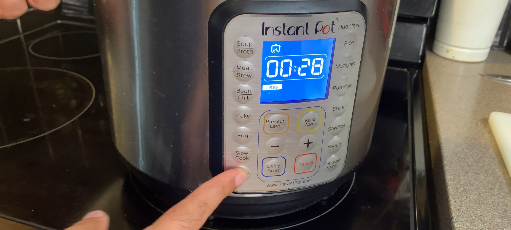 SlowCooked Instant Pot Chicken Changezi — Cooking with Anadi