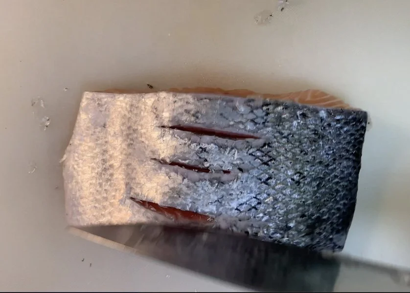 Screen Shot 2022-01-07 at 7.59.29 AM.jpg