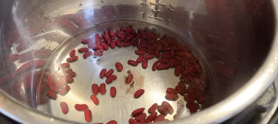 Screen Shot 2022-09-19 at 9.28.53 AM.jpg