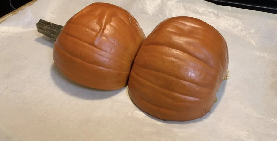 Screen Shot 2022-10-23 at 8.25.21 PM.jpg