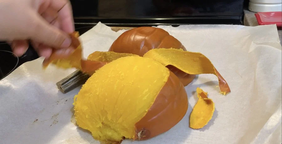 Screen Shot 2022-10-23 at 8.25.43 PM.jpg