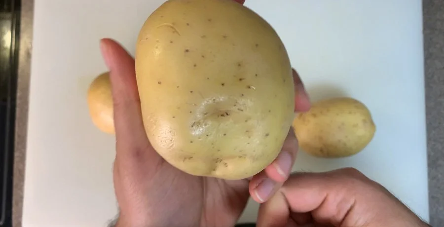 Screen Shot 2022-03-28 at 7.03.18 AM.jpg