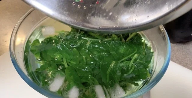 Screen Shot 2022-09-14 at 7.07.41 AM Medium.jpeg