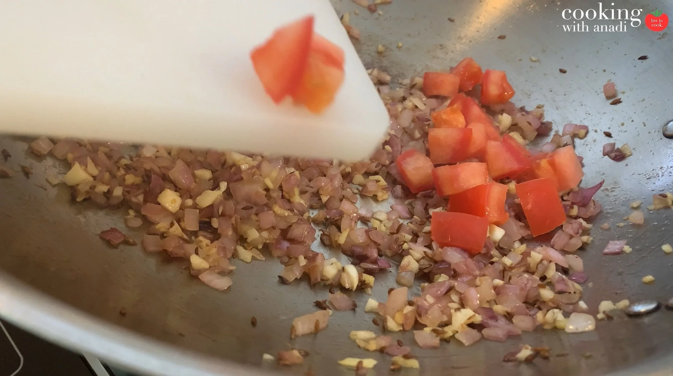 Screen Shot 2021-06-25 at 12.21.59 PM.jpeg