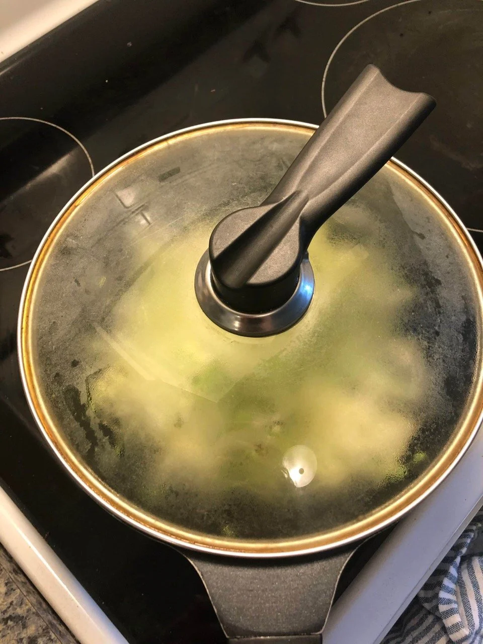 cabbage in a pan with a lid on