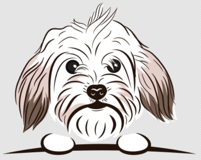 powder puff dog grooming