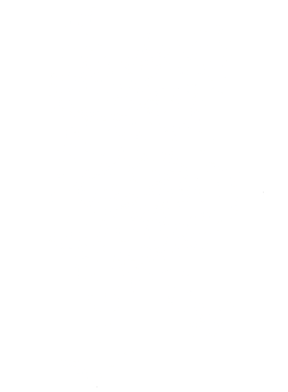 Pancho custom chicken character illustration