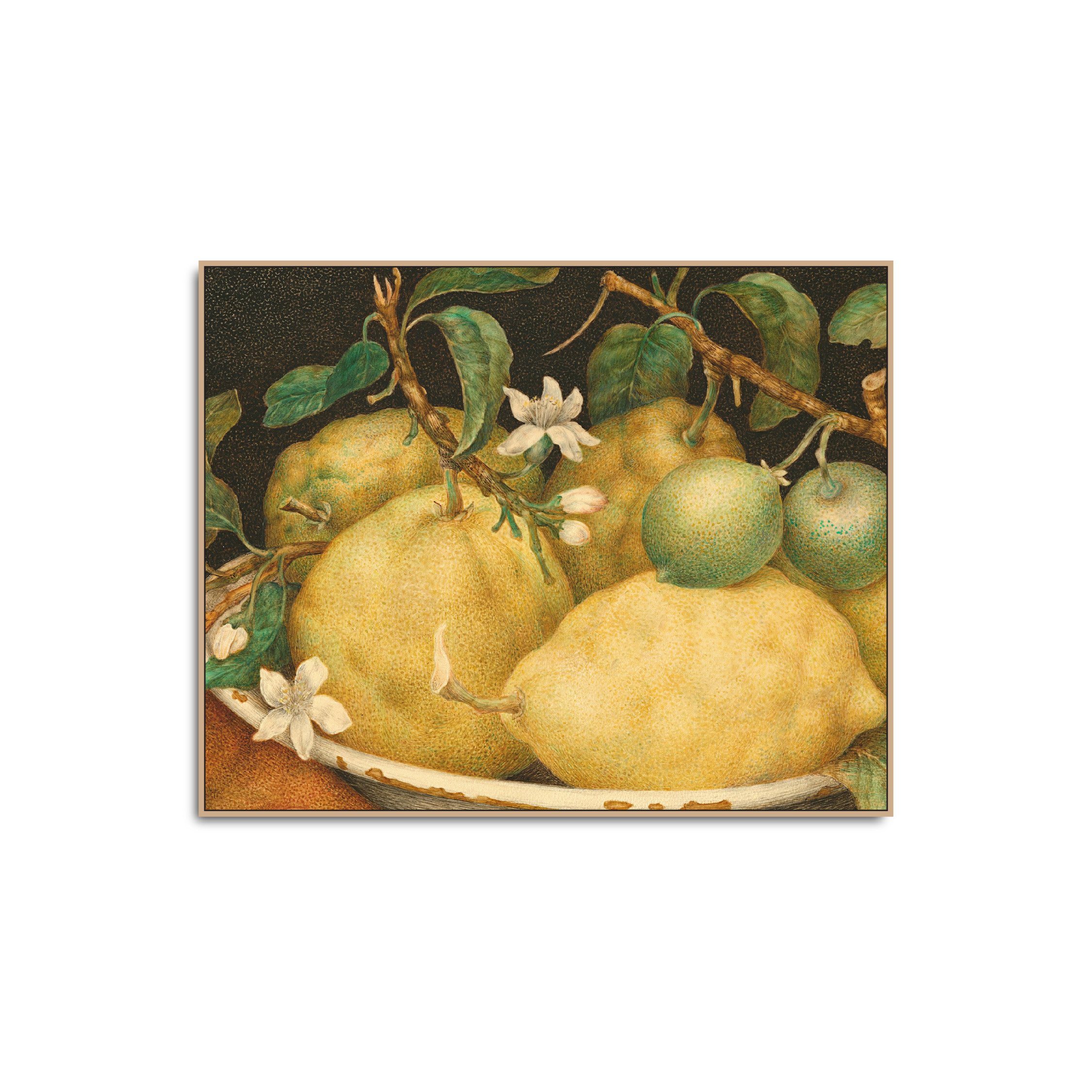 Bowl_of_Citrons.jpg