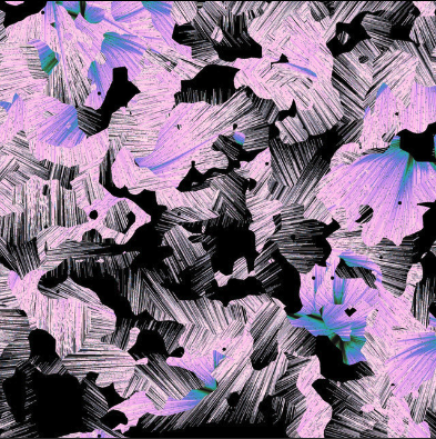 Screen Shot 2023-01-12 at 10.22.47 PM.png
