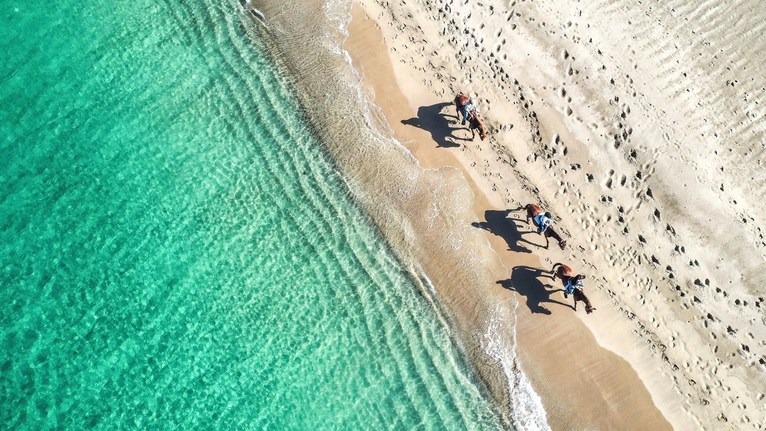 DJI_0958.jpeg