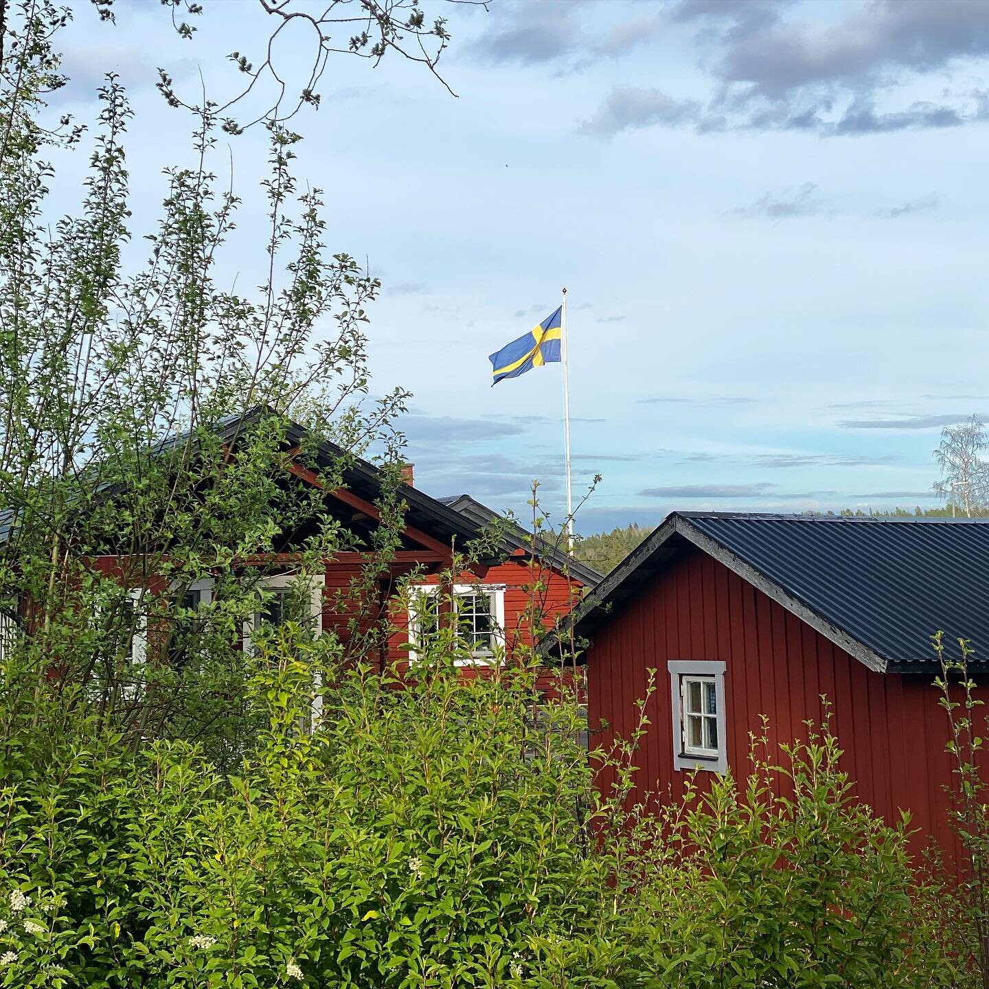 Grattis Sverige! 🇸🇪🌟
.
.
.
#sverigesnationaldag #dalarna 
#visitdalarna #svenskaflaggansdag #flagganitopp #juni