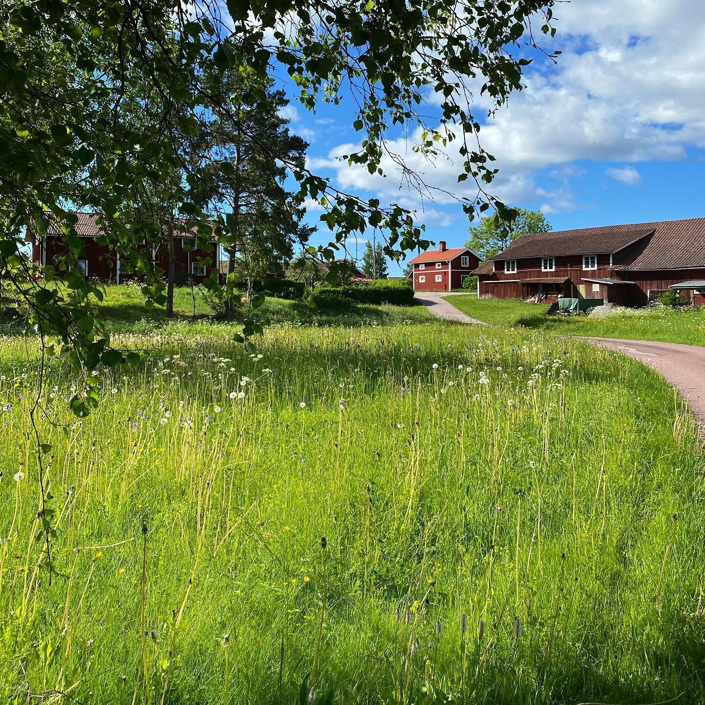 Vad s&auml;gs om Bysafari h&auml;r i sommar??? 😍☀️

#finastearbetsmilj&ouml;n 
#visitdalarna 
#bysafari 
#upplevlandsbygden 
#landsbygdsturism 
#visitvillage 
#r&auml;ttvik 
#hemester 
#svemestertips