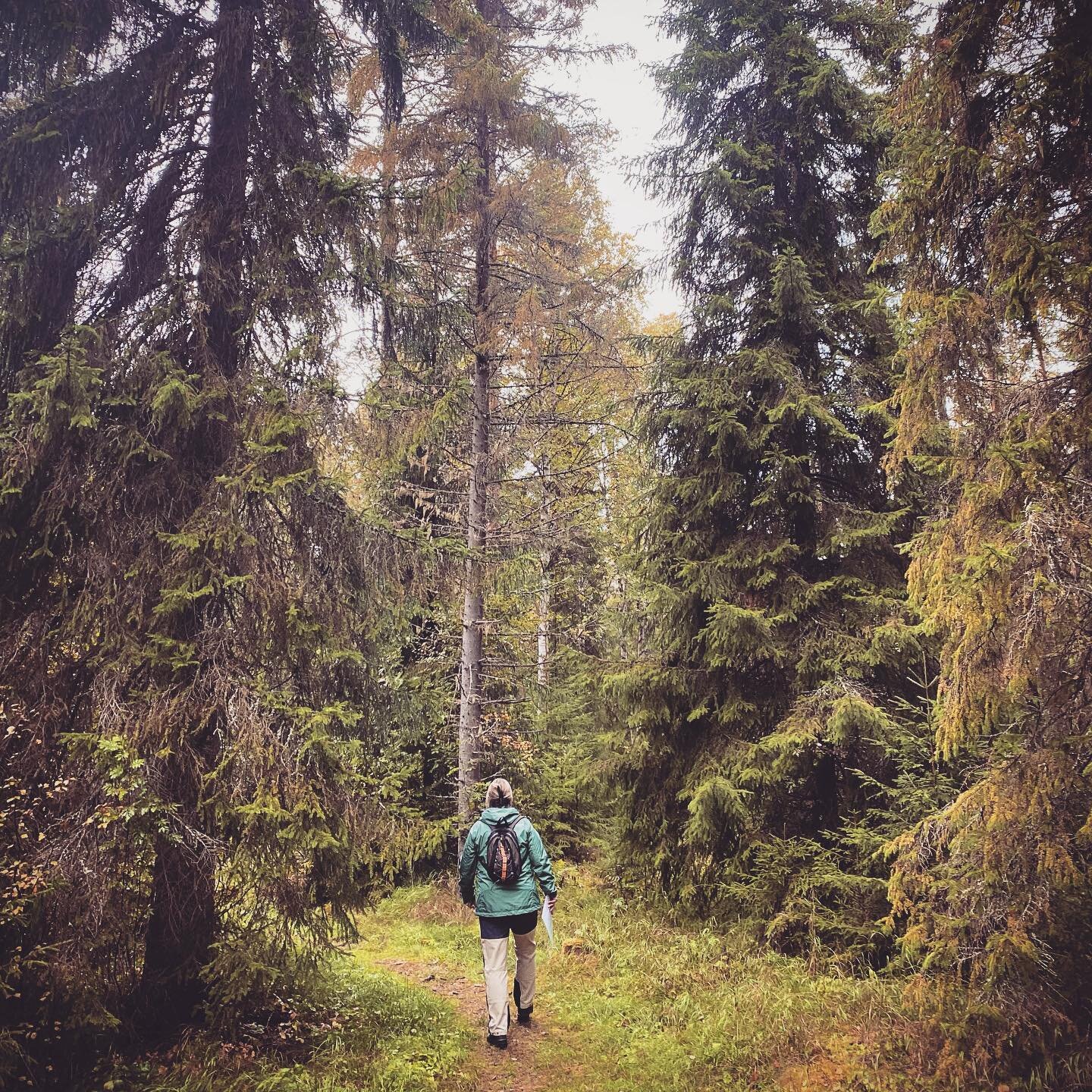 Har du n&aring;gra helgplaner?
Om du har en liten stund &ouml;ver och m&ouml;jlighet att ta dig till en skog, om &auml;n liten, s&aring; passa p&aring; att ta dig ut f&ouml;r att fylla p&aring; med ny energi. B&auml;sta platsen om ni fr&aring;gar oss