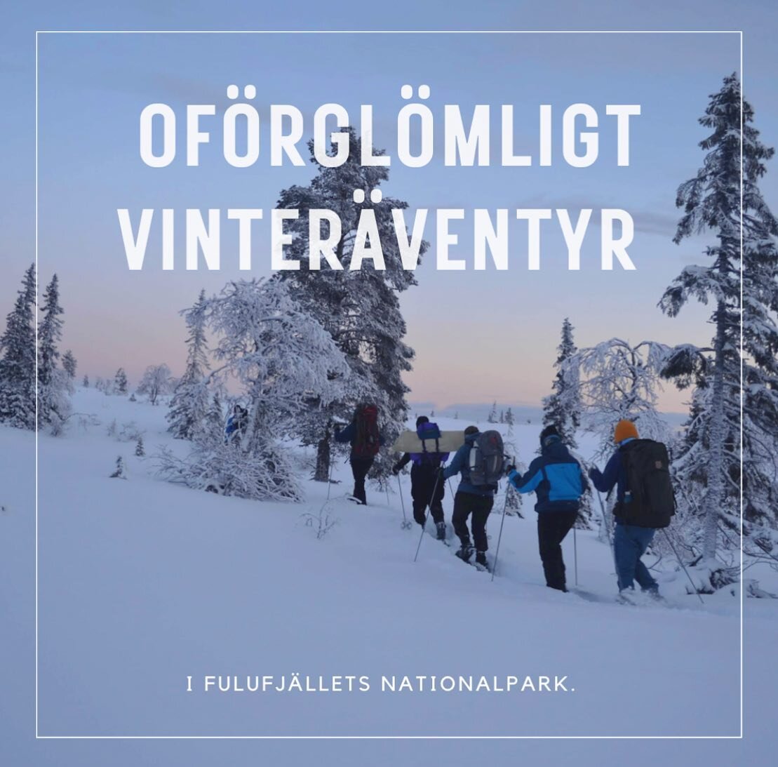 F&ouml;lj med p&aring; ett of&ouml;rgl&ouml;mligt vinter&auml;ventyr i Dalarnas vildmark! ✨

Resan b&ouml;rjar med en avkopplande &ouml;vernattning och god mat p&aring; anrika @morahotell. Dag 2 &auml;r det dags att bege sig ut i vildmarken varav den