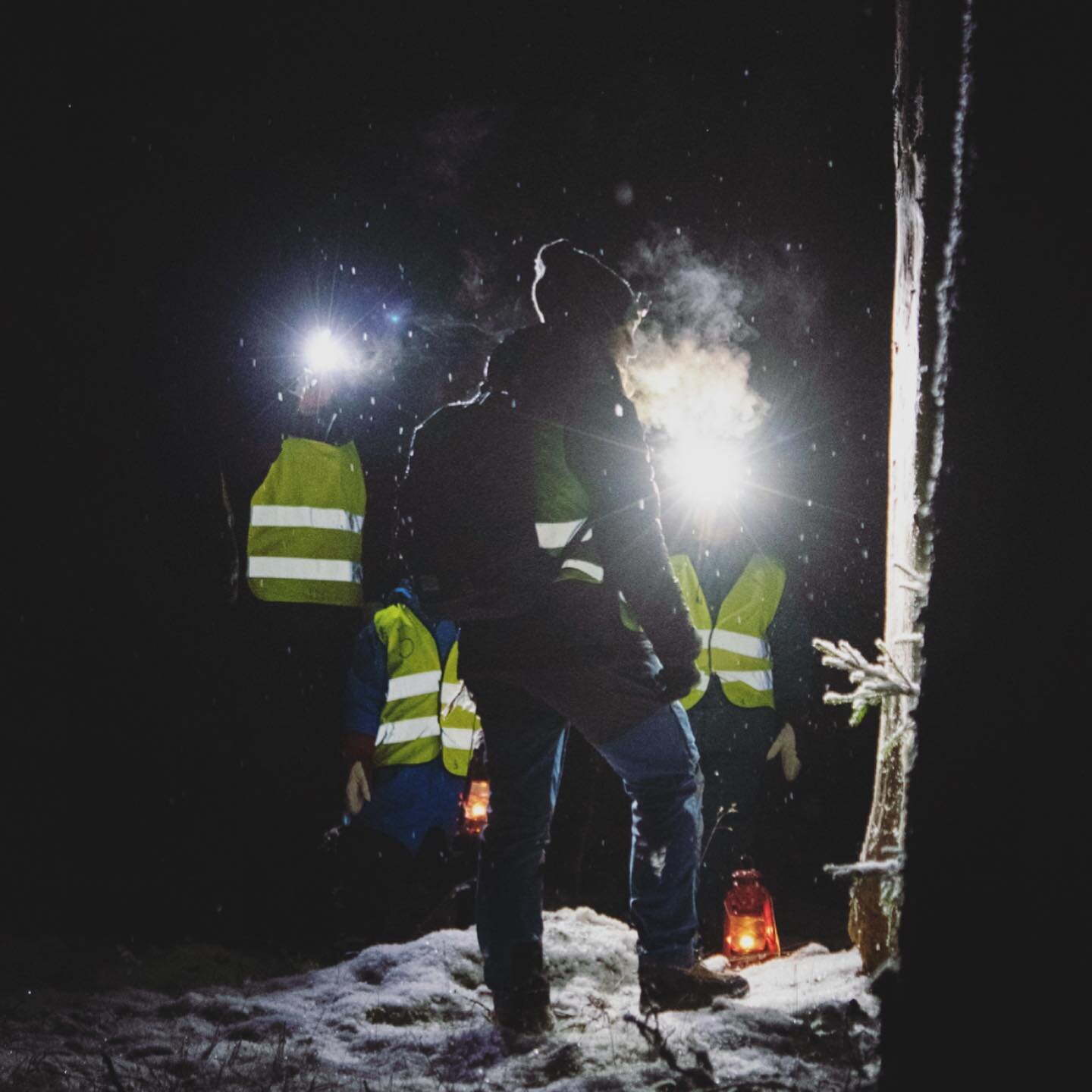 N&auml;r solen g&aring;tt ner k&auml;nns skogen v&auml;ldigt m&ouml;rk och kanske lite l&auml;skig men ocks&aring; sp&auml;nnande, annorlunda och magisk. L&auml;tta upp st&auml;mningen och h&auml;ng med oss ut p&aring; M&ouml;rkervandring under stj&a