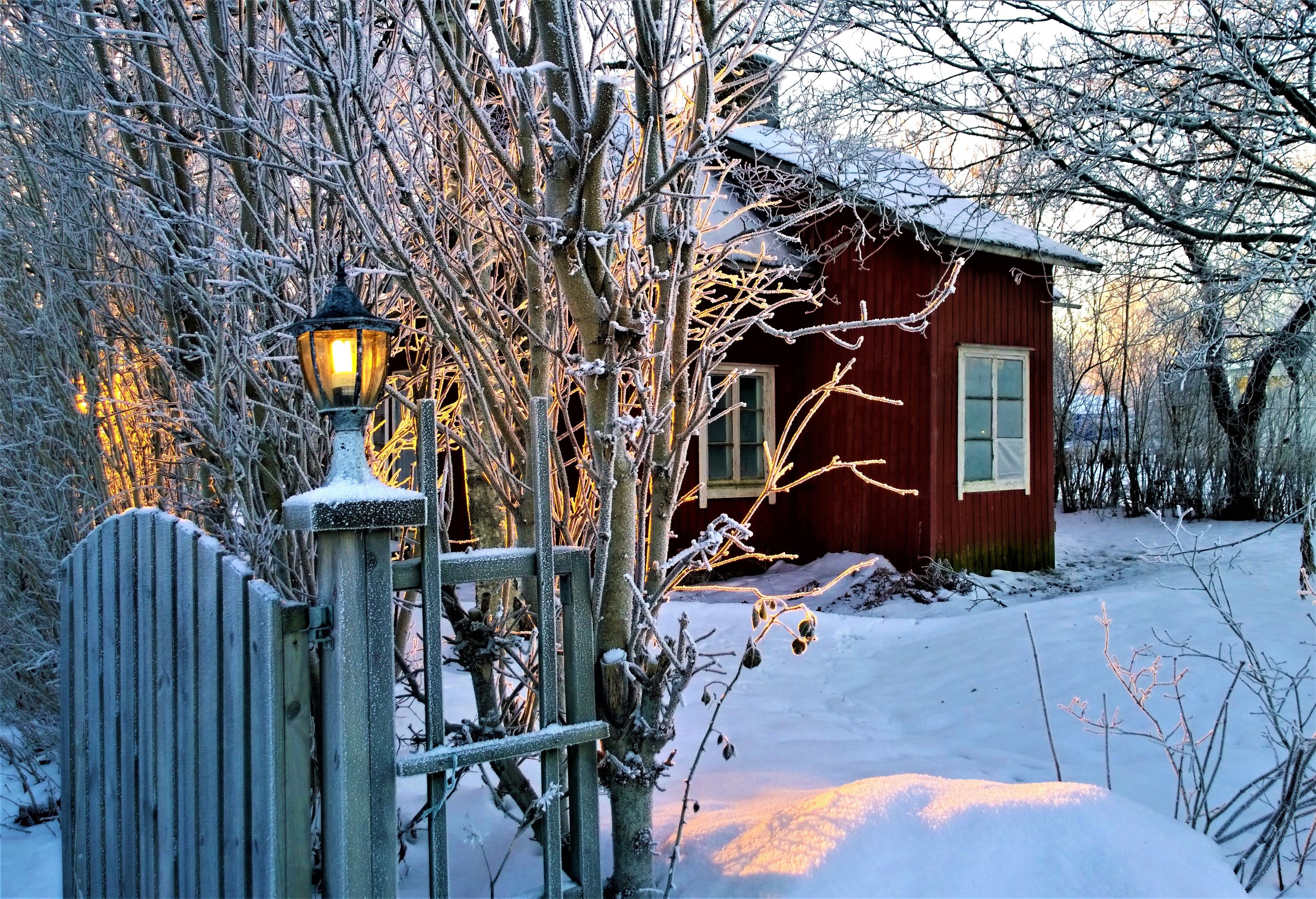 Falurött hus vinter PIXABAY.jpeg