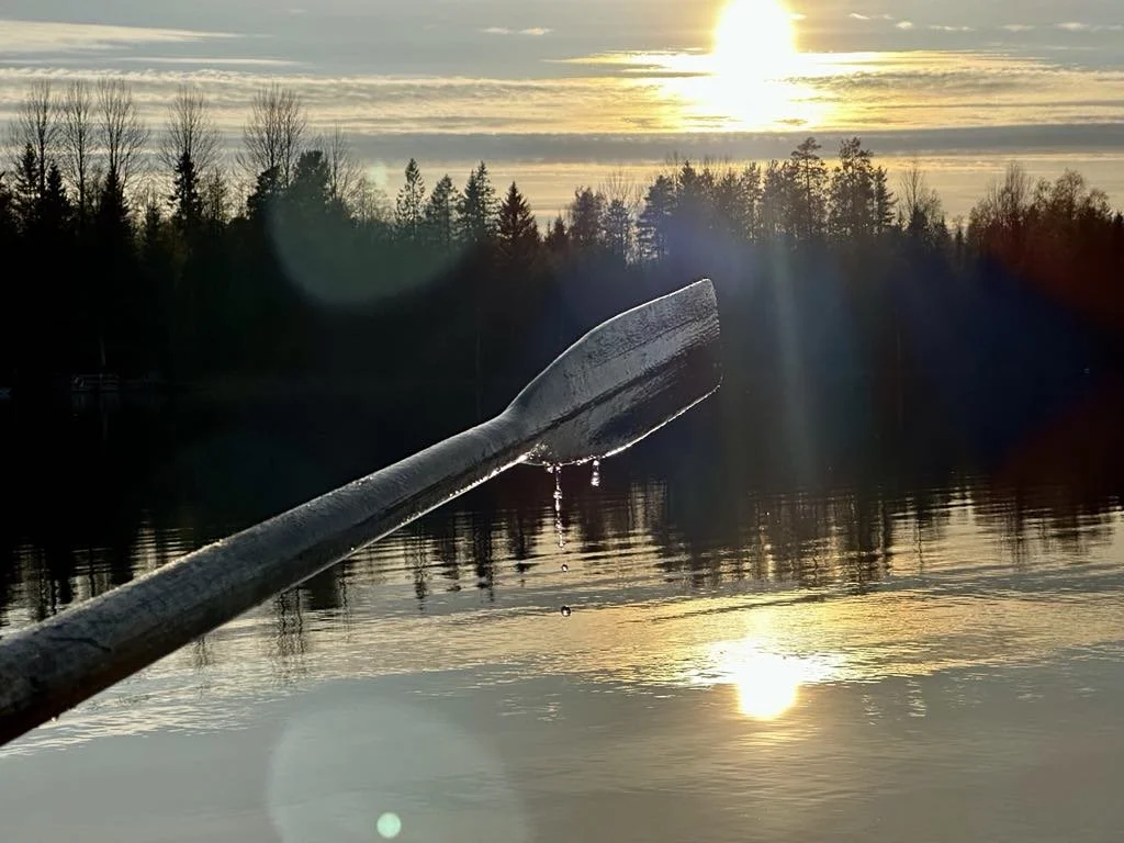 Sinksjön åra i solnedgång.jpeg