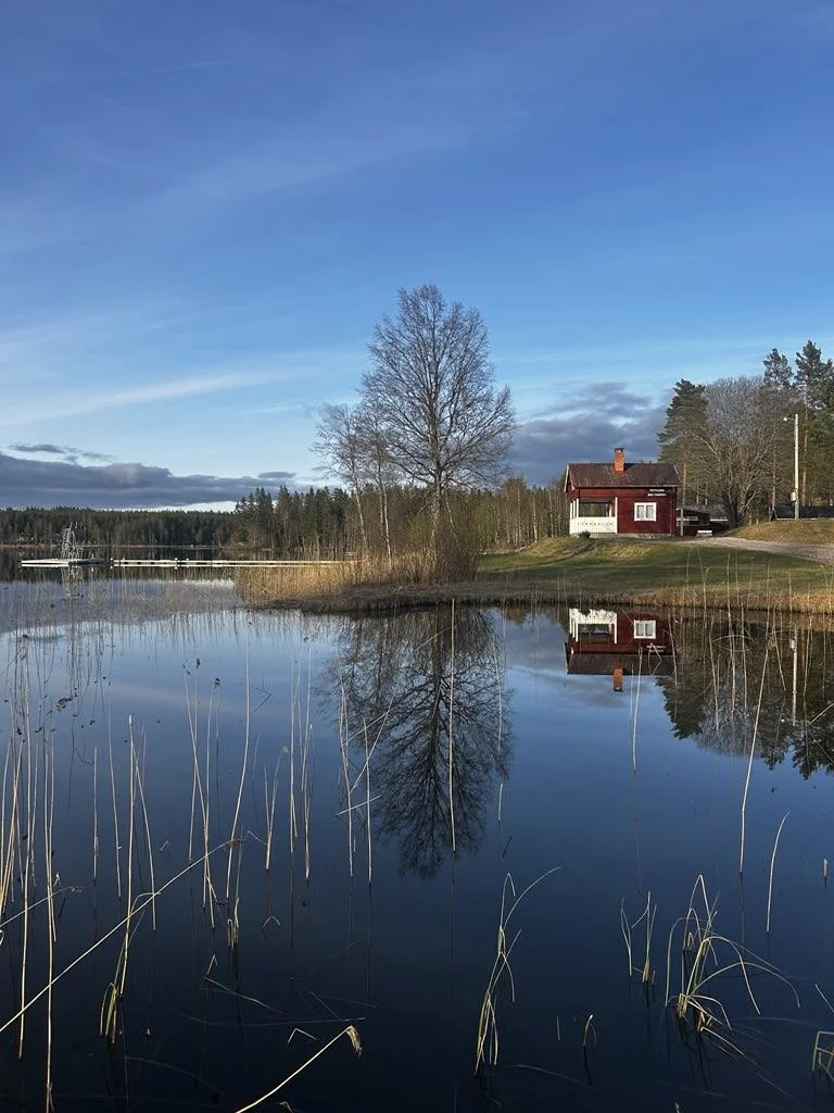 Sinksjön 1.jpeg