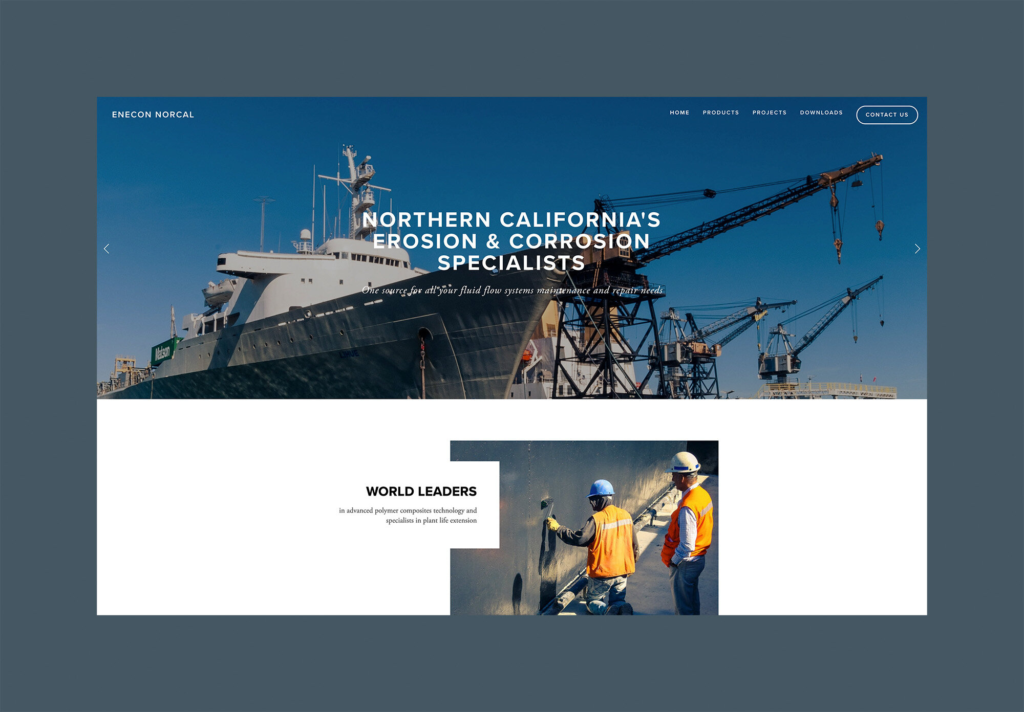 ENECON NorCal Website Page Design