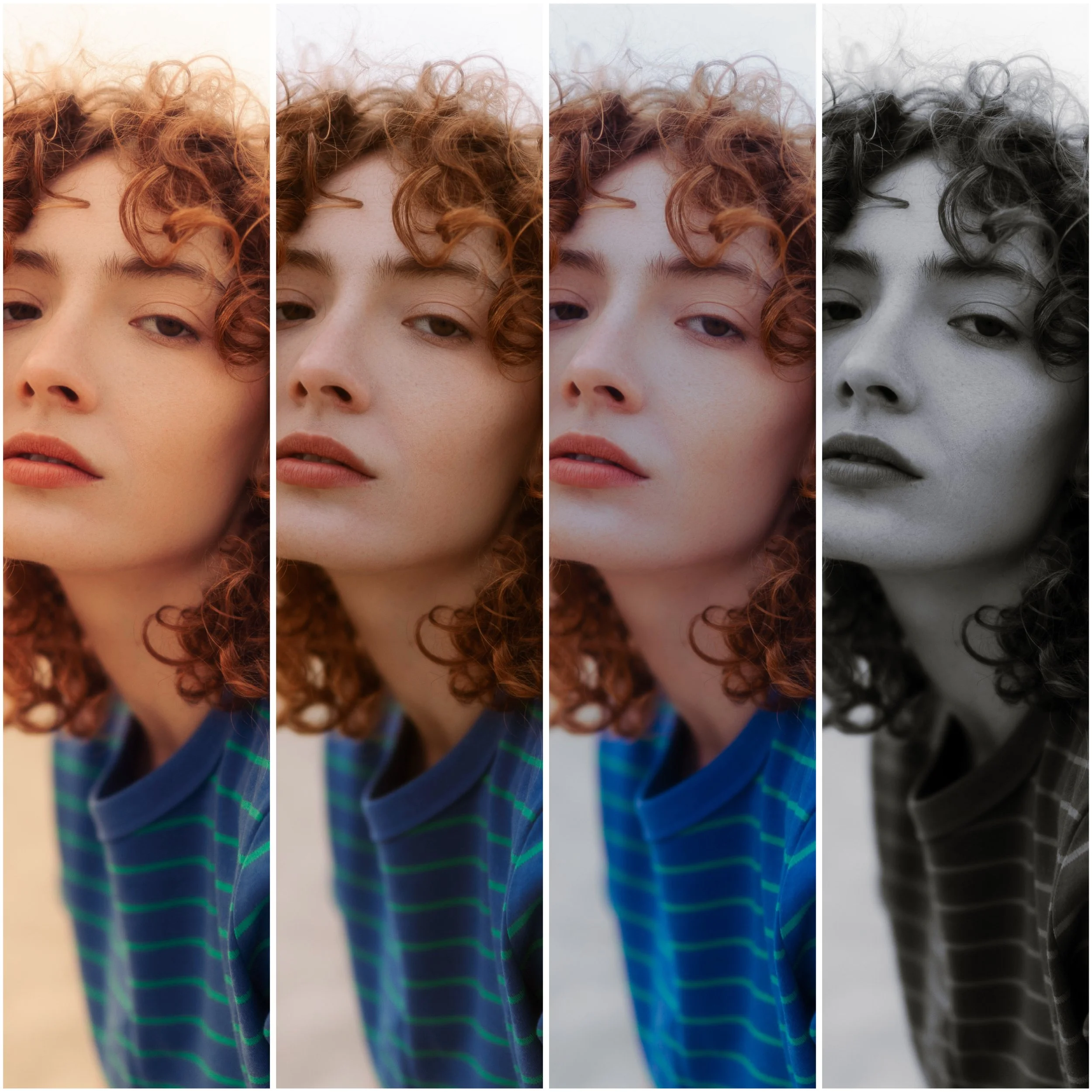 The Editorial Collection