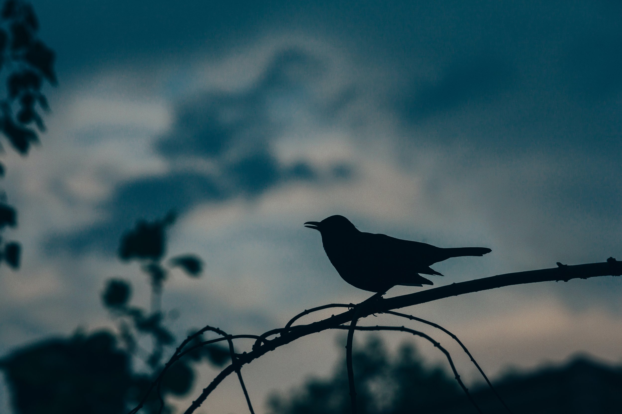 A Night With the Dark Feminine