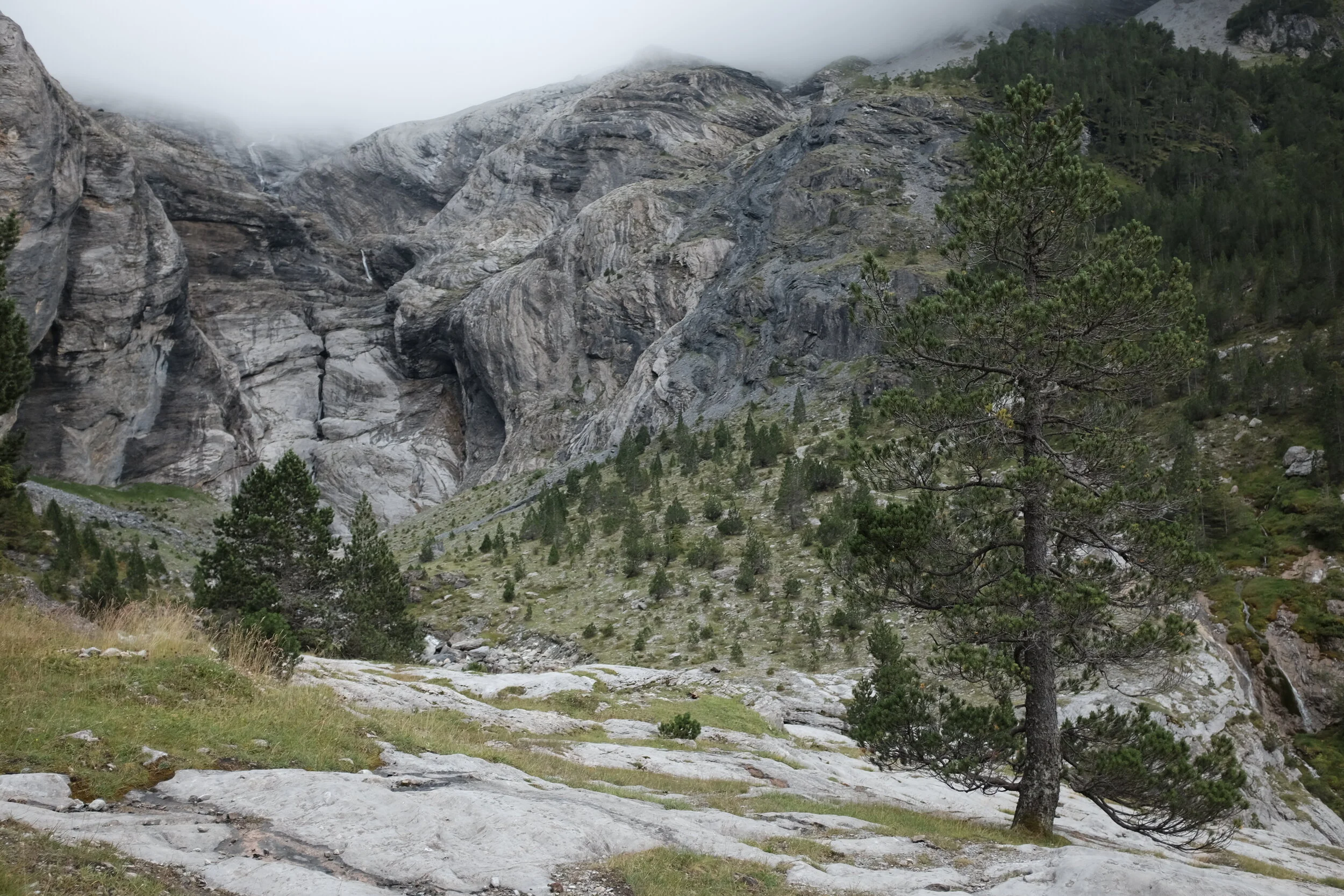 DSCF7075.JPG
