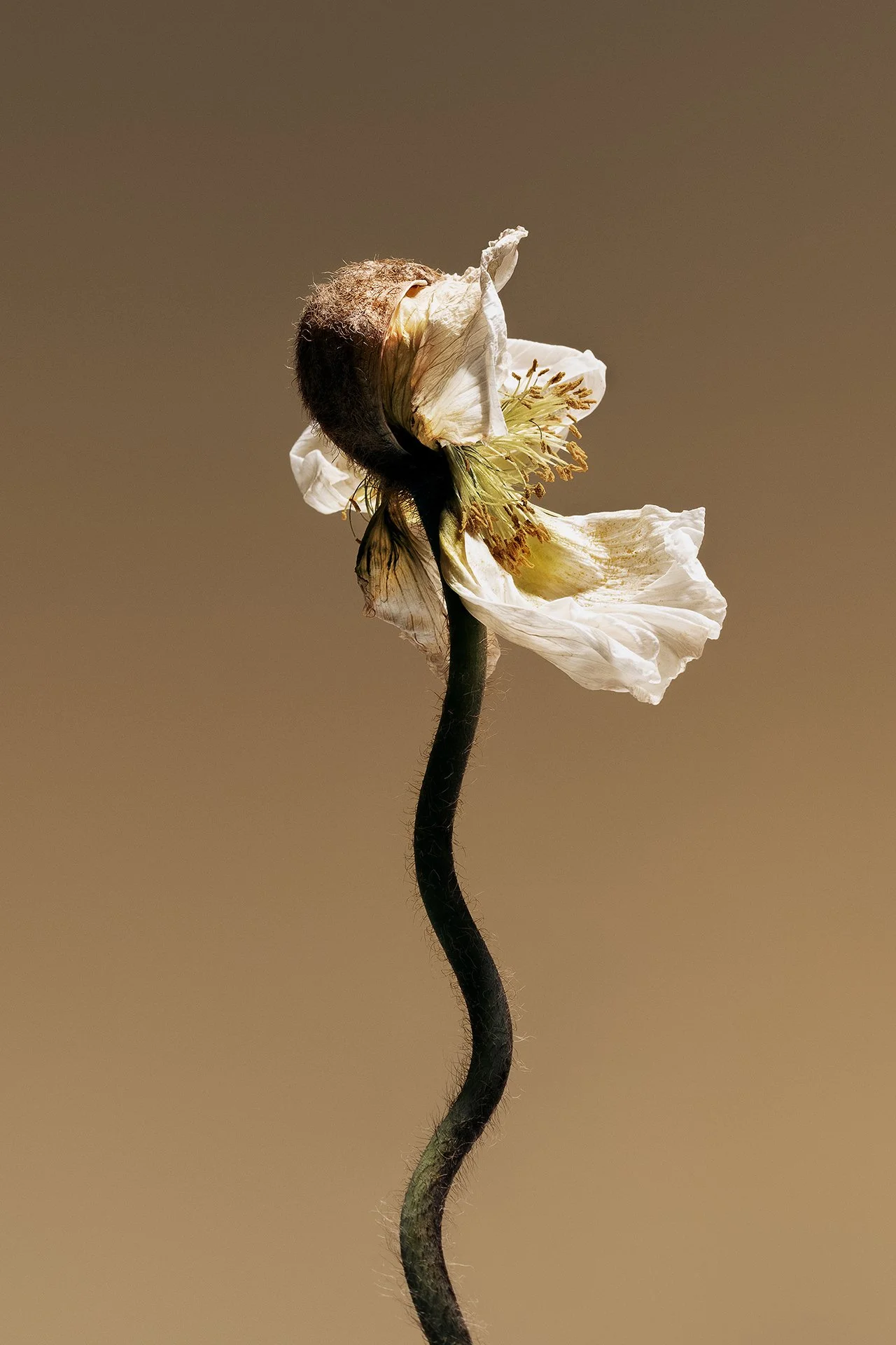 Fragility.jpg