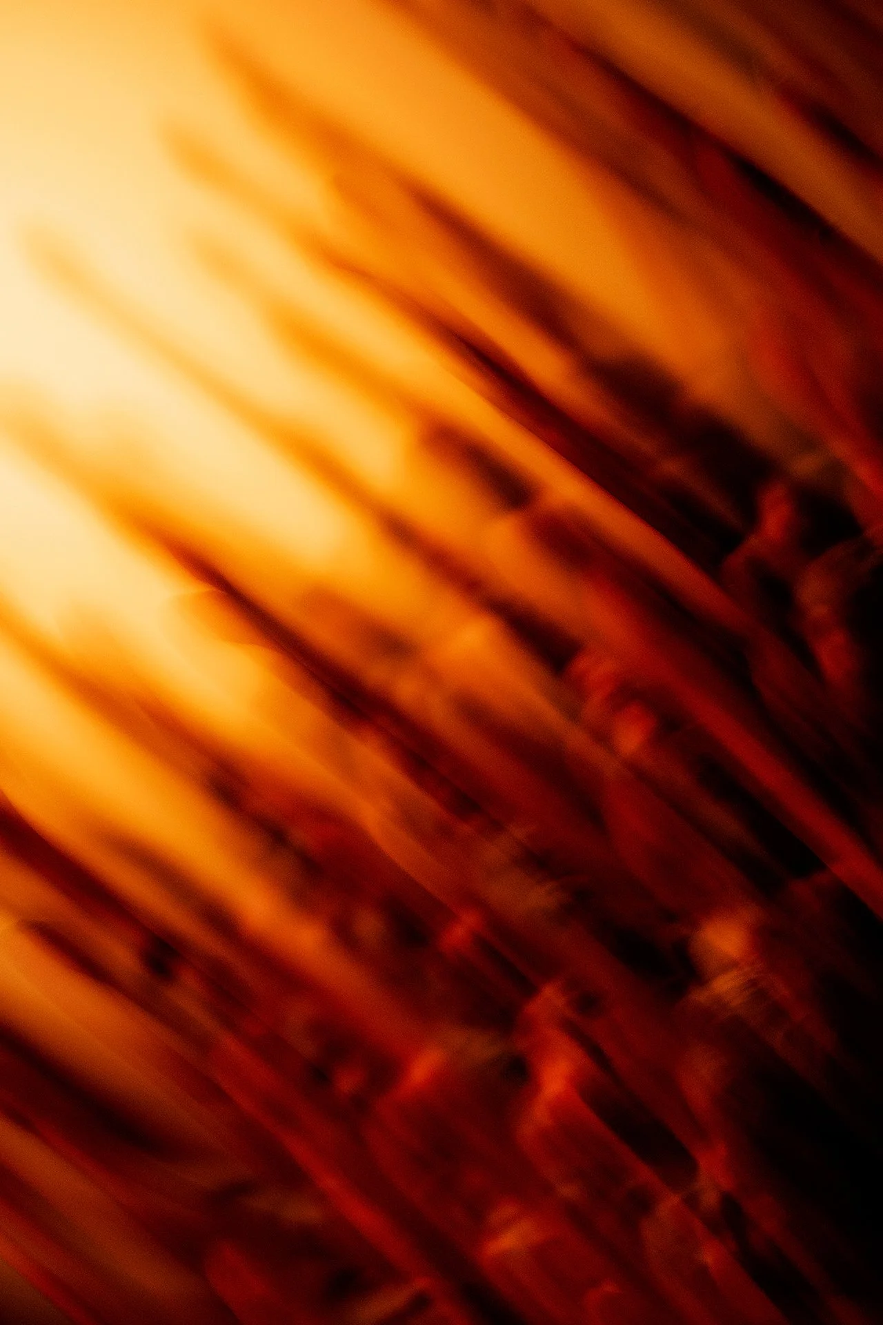 First Light.jpg