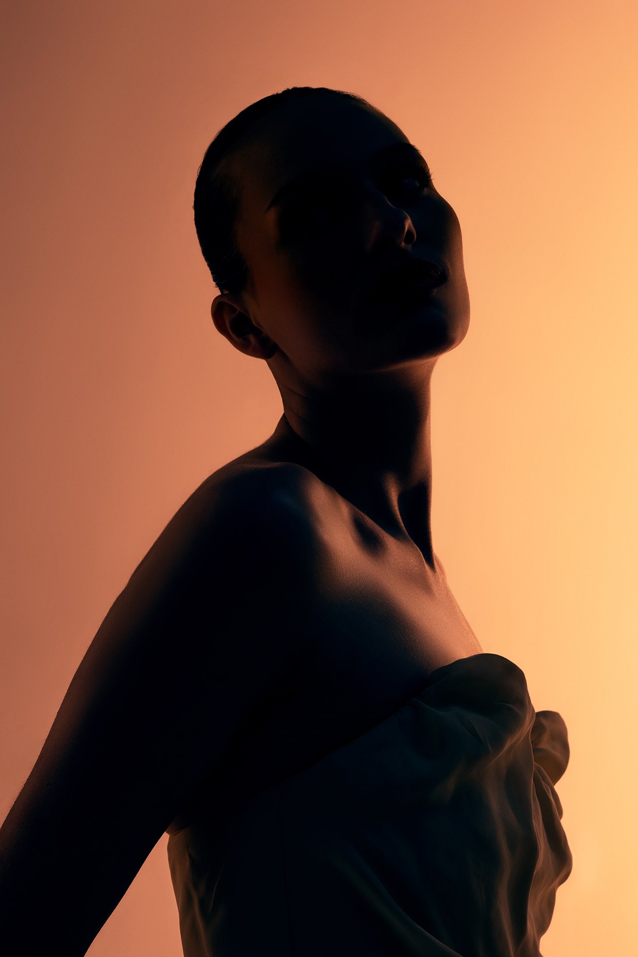 BT_1096-1.jpg