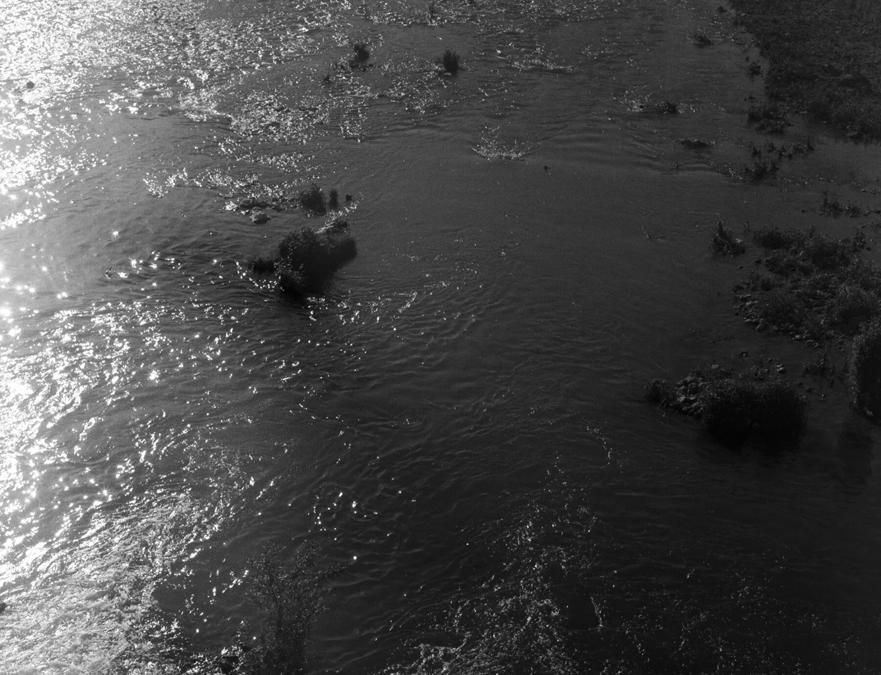 017_IdaChloeLouSAO-017_MurkyRivers.jpg
